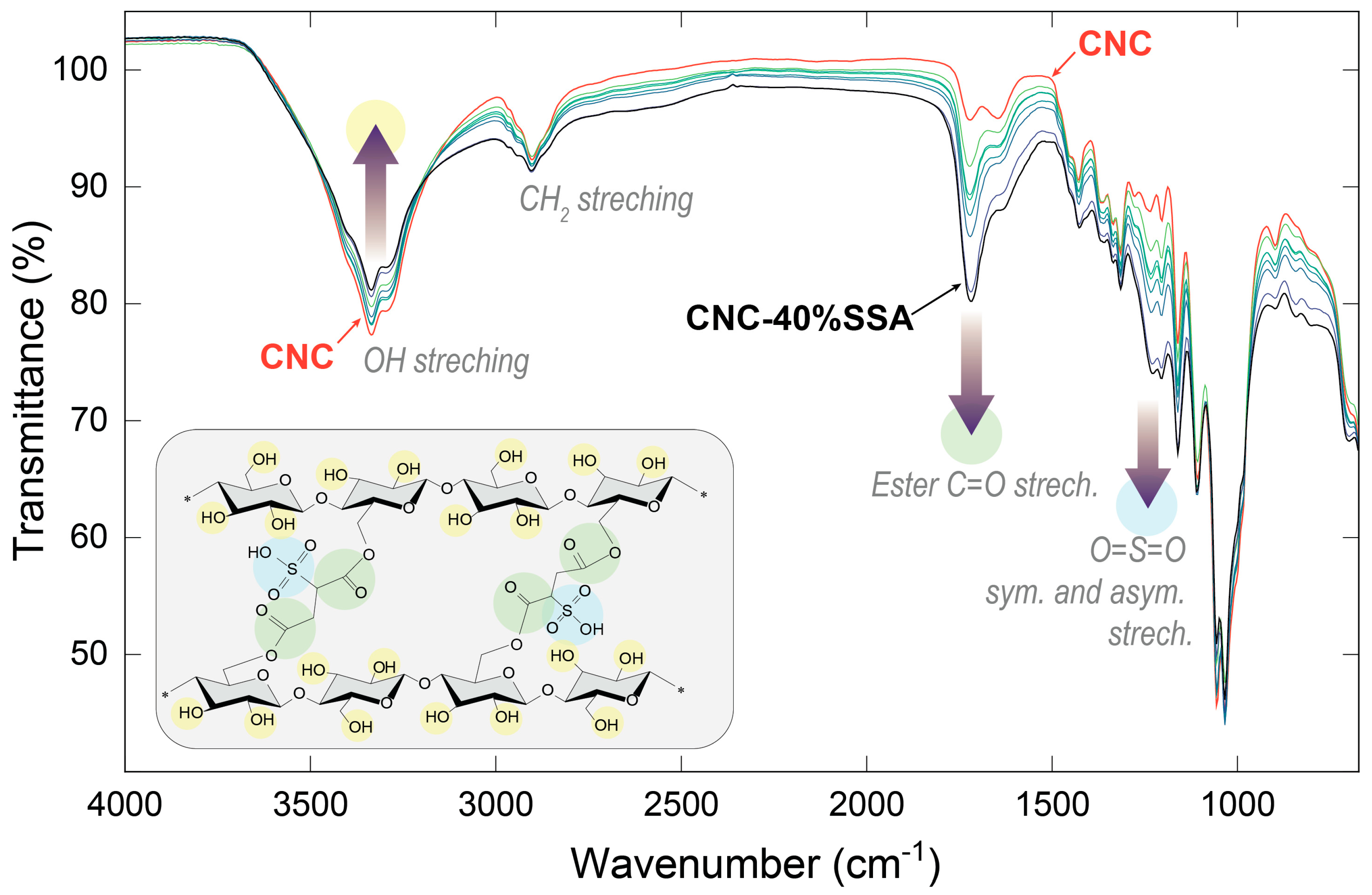 Membranes 12 00658 g004