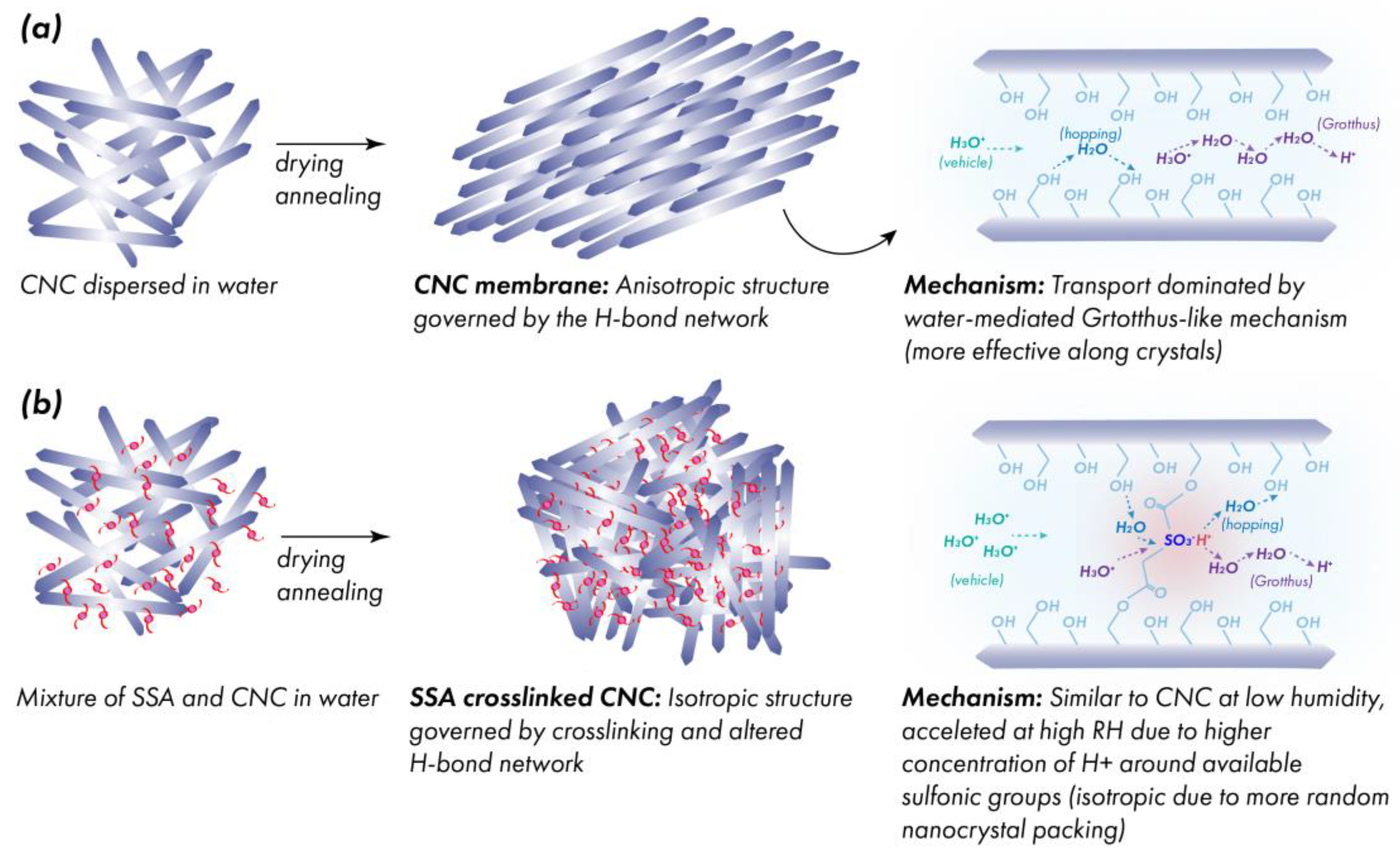 Membranes 12 00658 g011