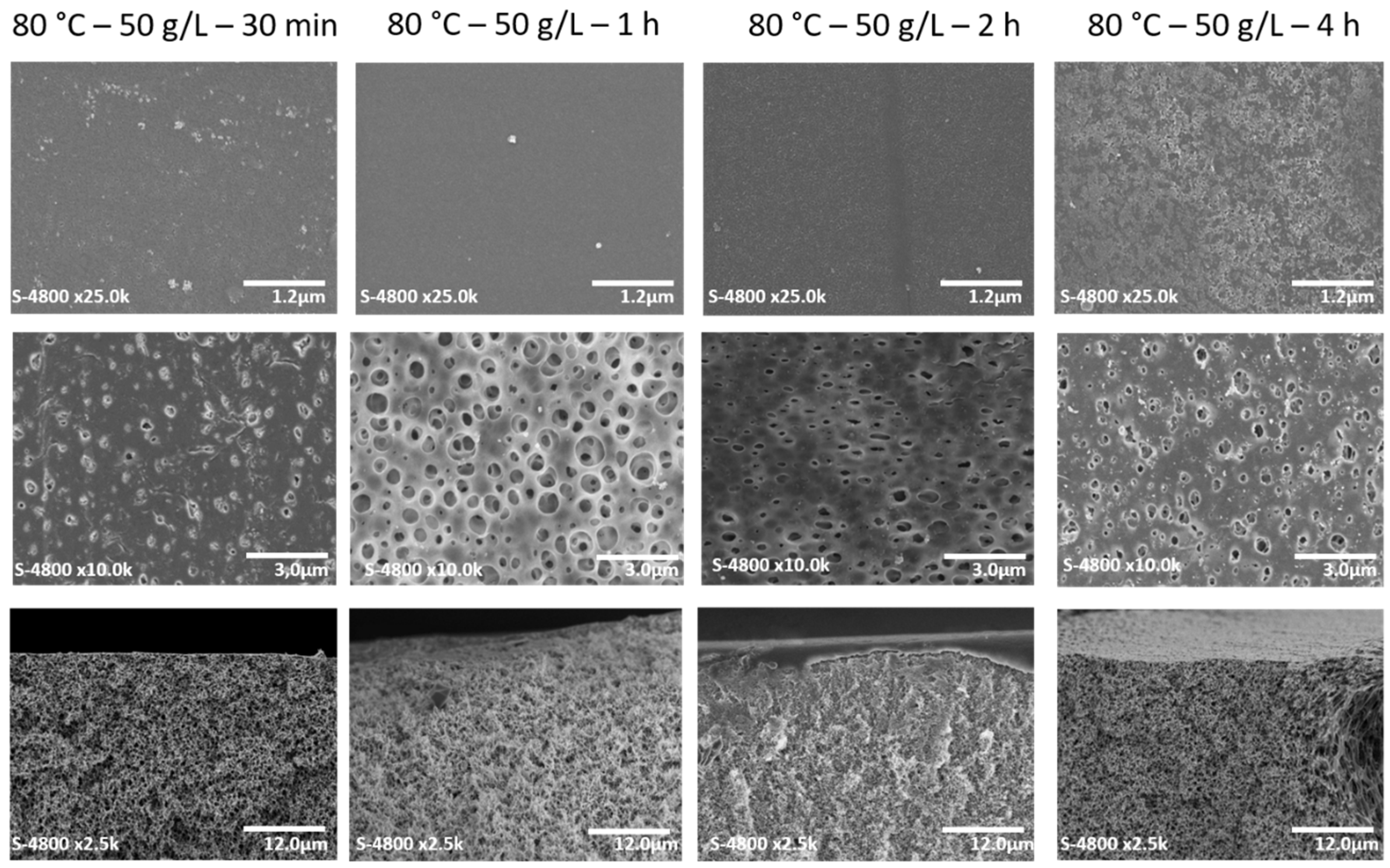 Membranes 12 00664 g012 550
