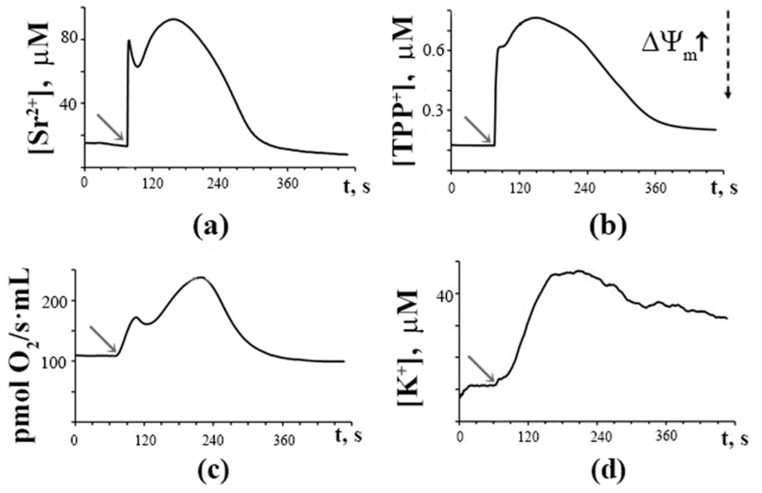 Membranes 12 00667 g001 Membranes 12 00667 g001