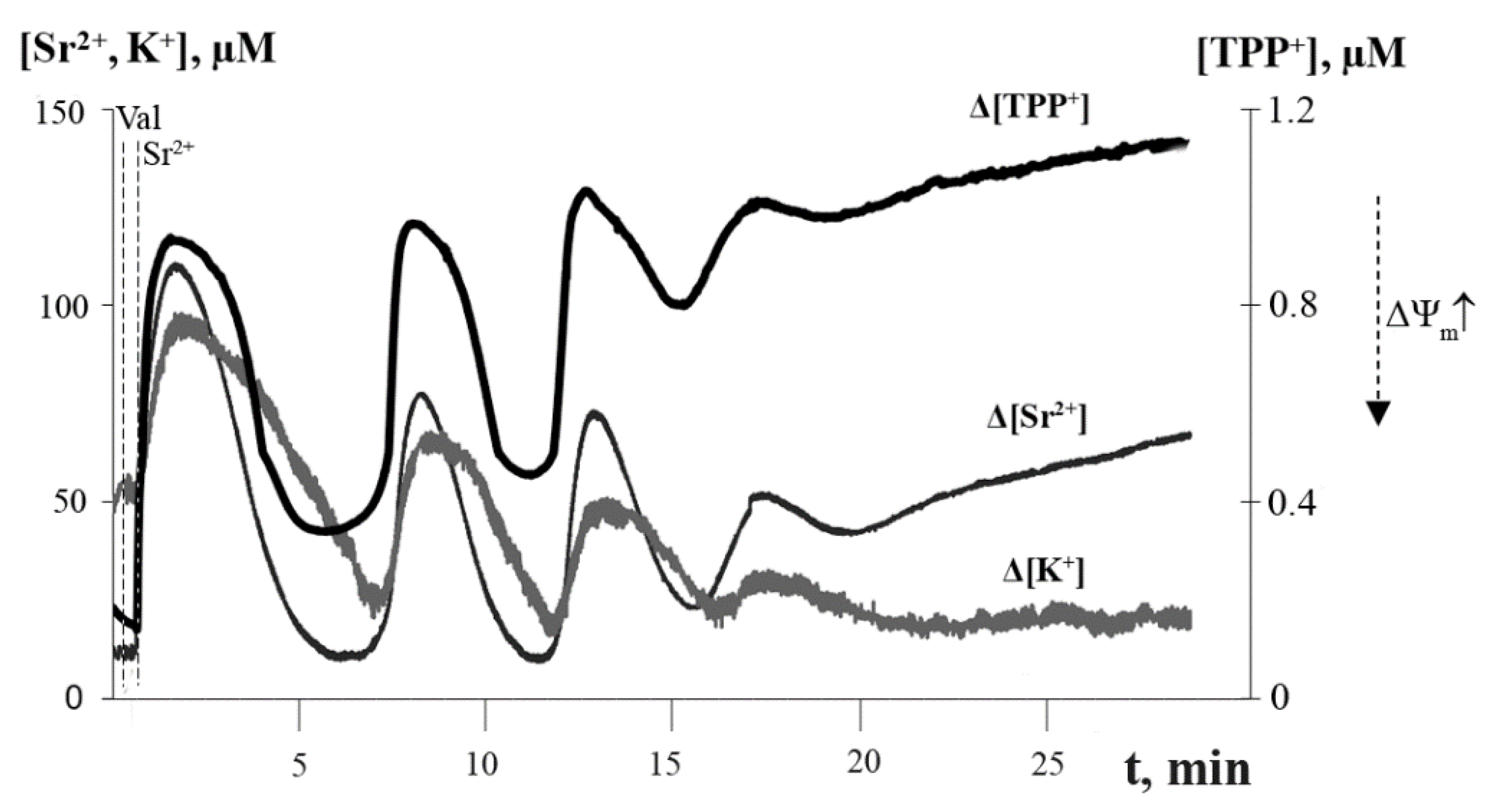 Membranes 12 00667 g002 Membranes 12 00667 g002