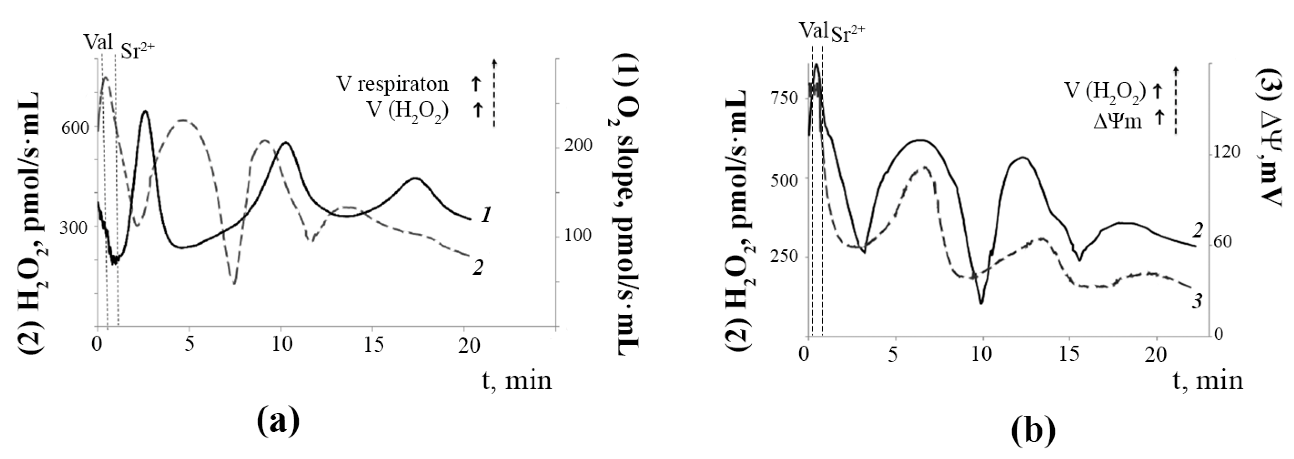 Membranes 12 00667 g004 Membranes 12 00667 g004
