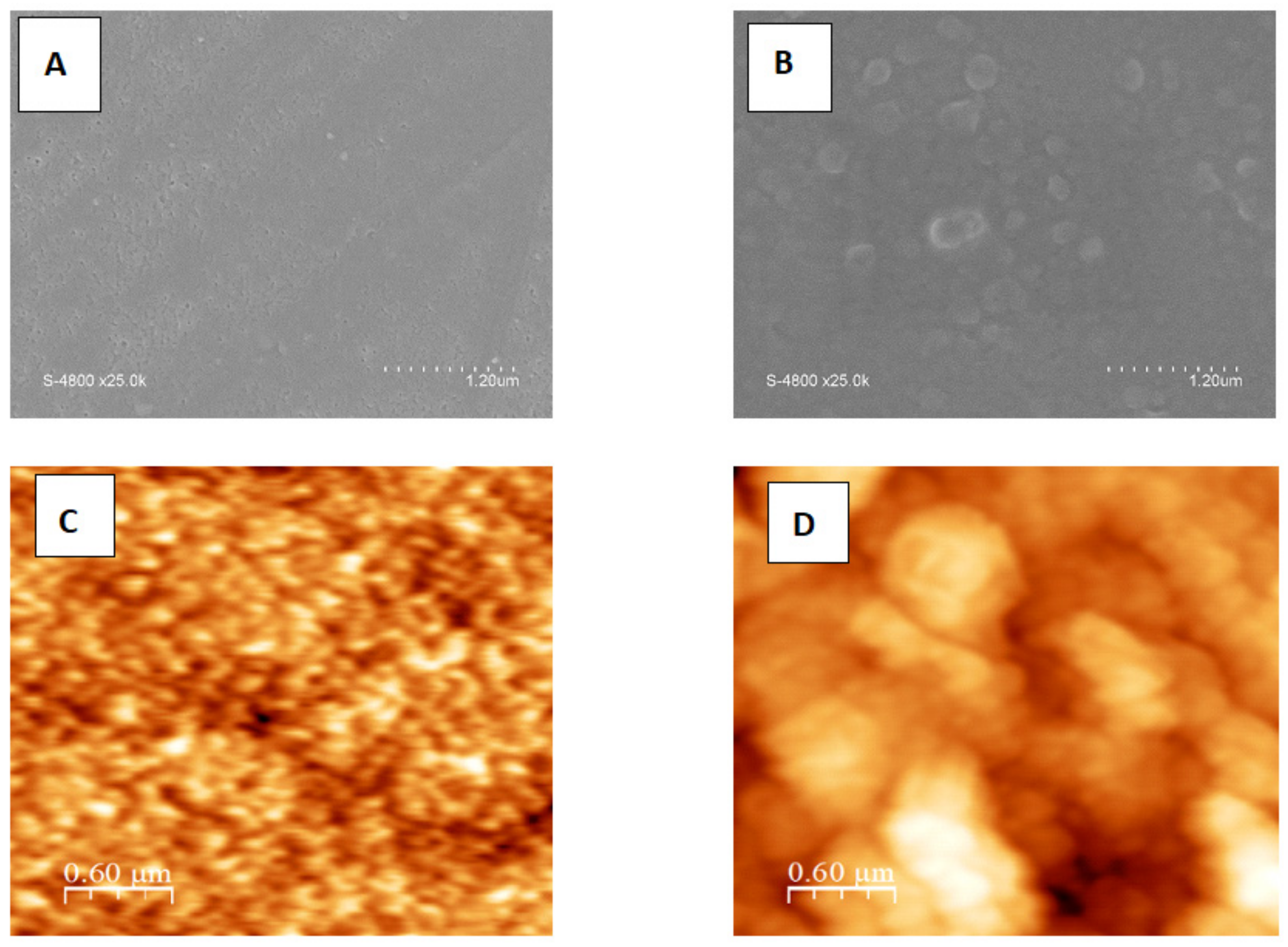 Membranes 12 00670 g001a