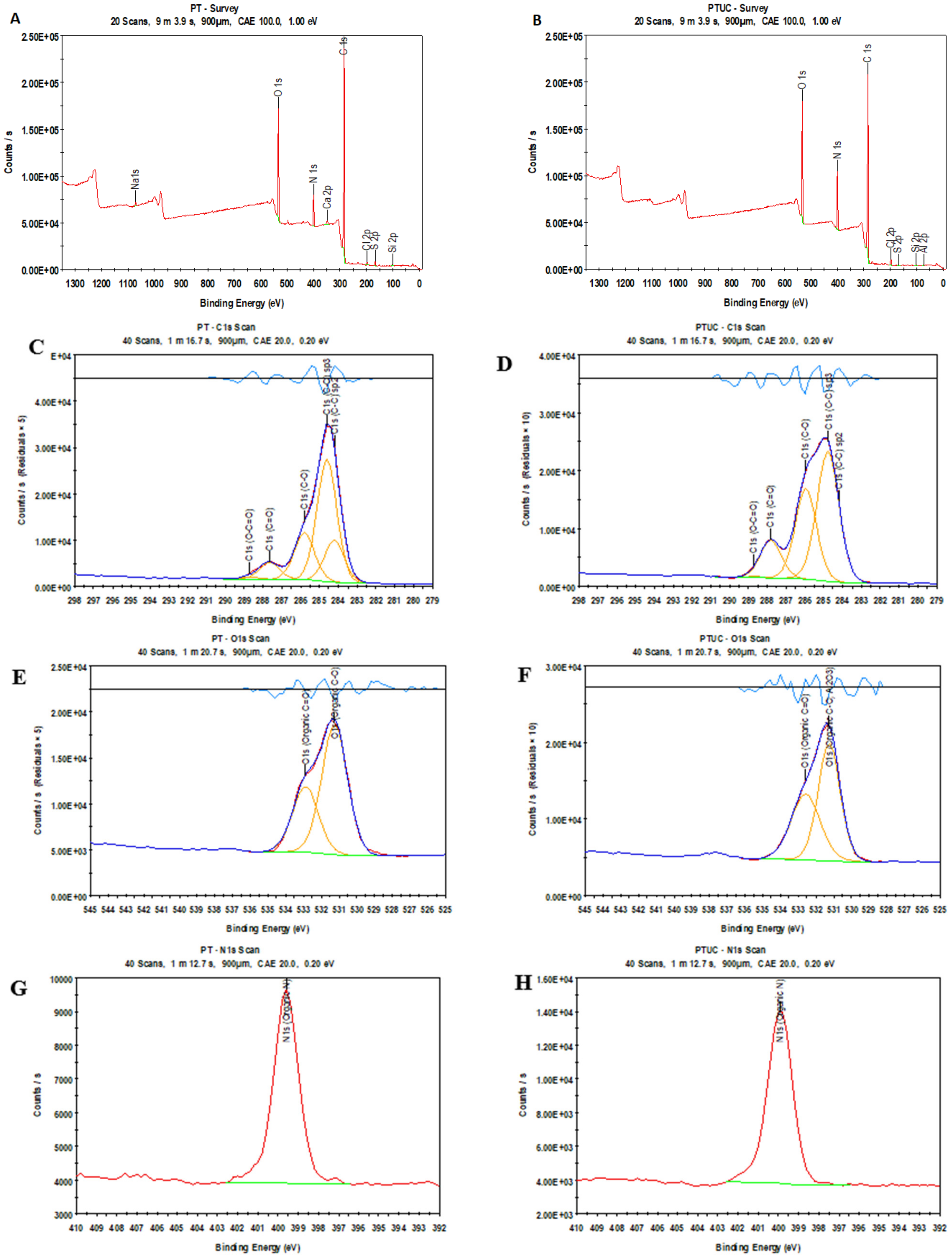 Membranes 12 00670 g003