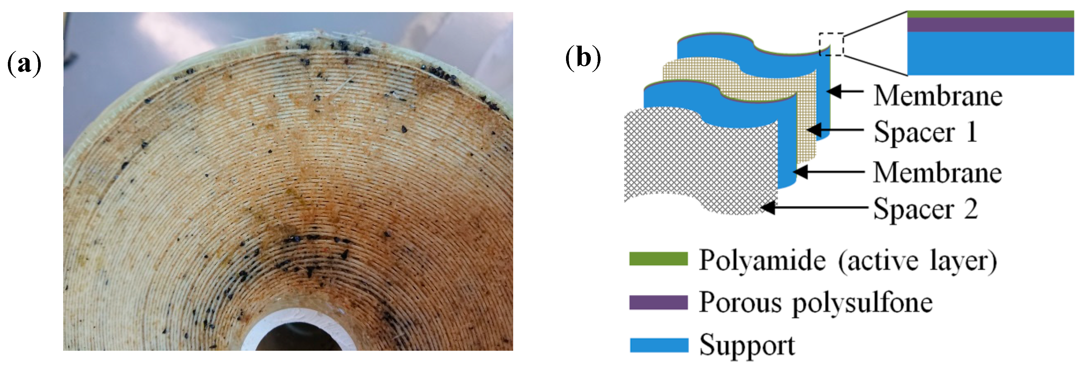 Membranes 12 00671 g003 550