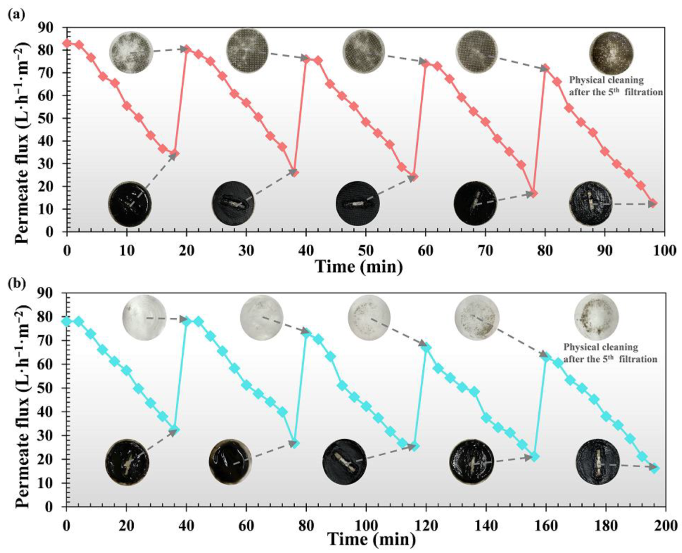 Membranes 12 00683 g003
