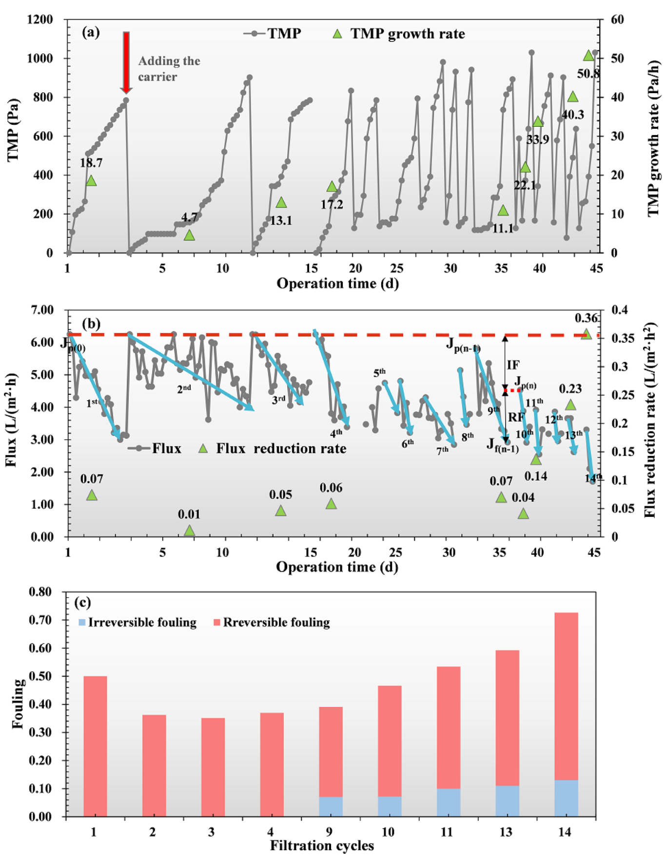 Membranes 12 00683 g006
