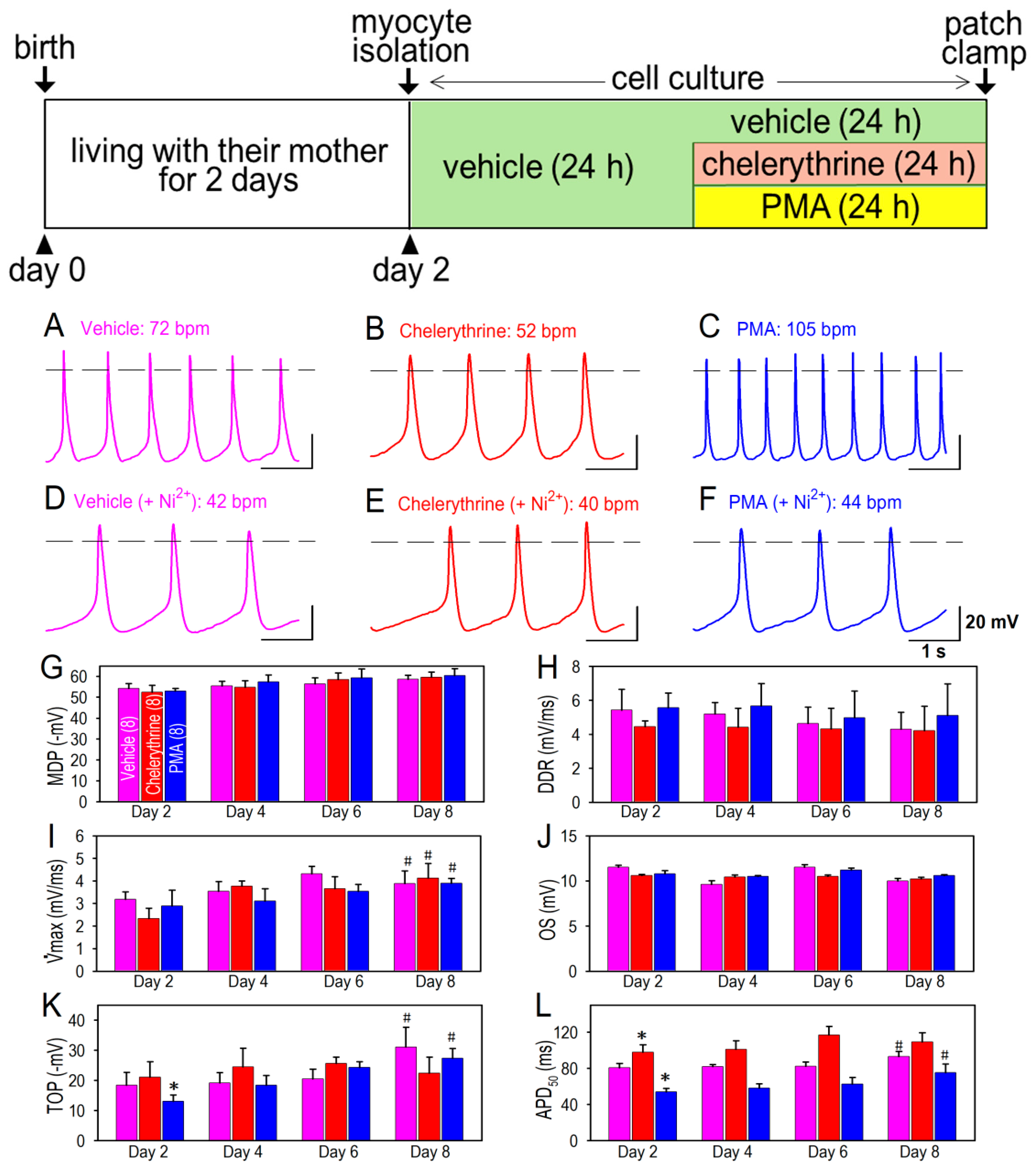 Membranes 12 00686 g002 Membranes 12 00686 g002