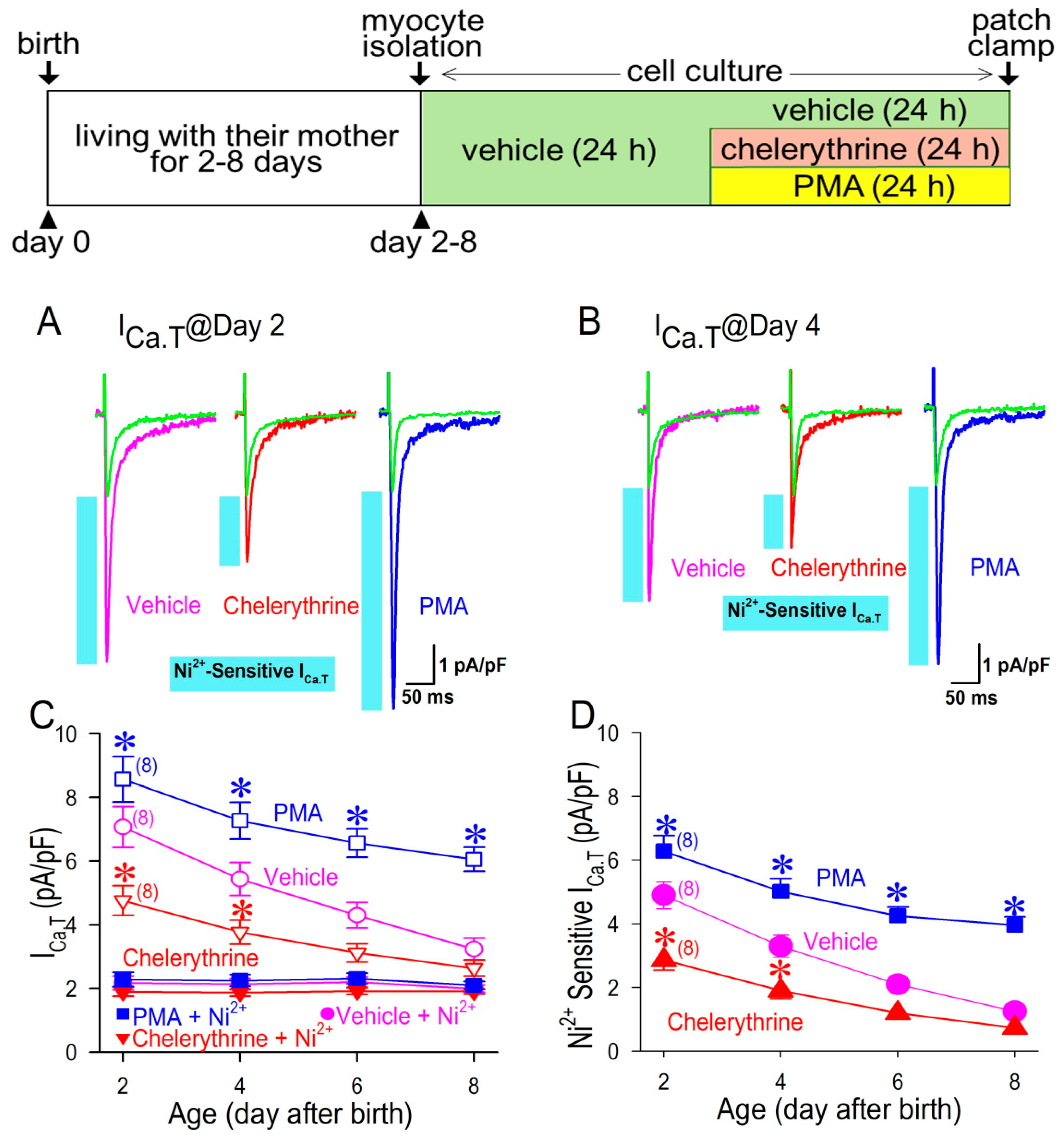 Membranes 12 00686 g004 Membranes 12 00686 g004