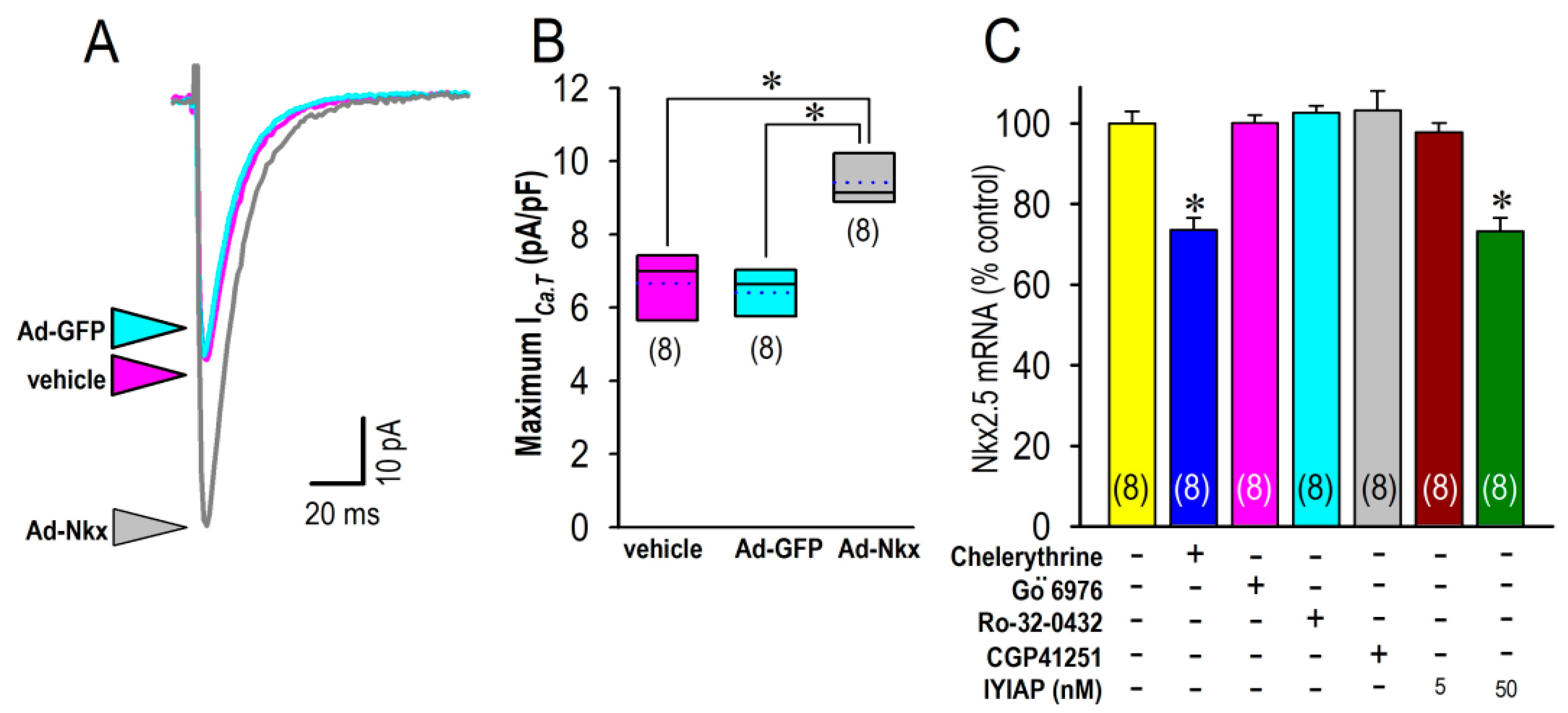 Membranes 12 00686 g008 Membranes 12 00686 g008