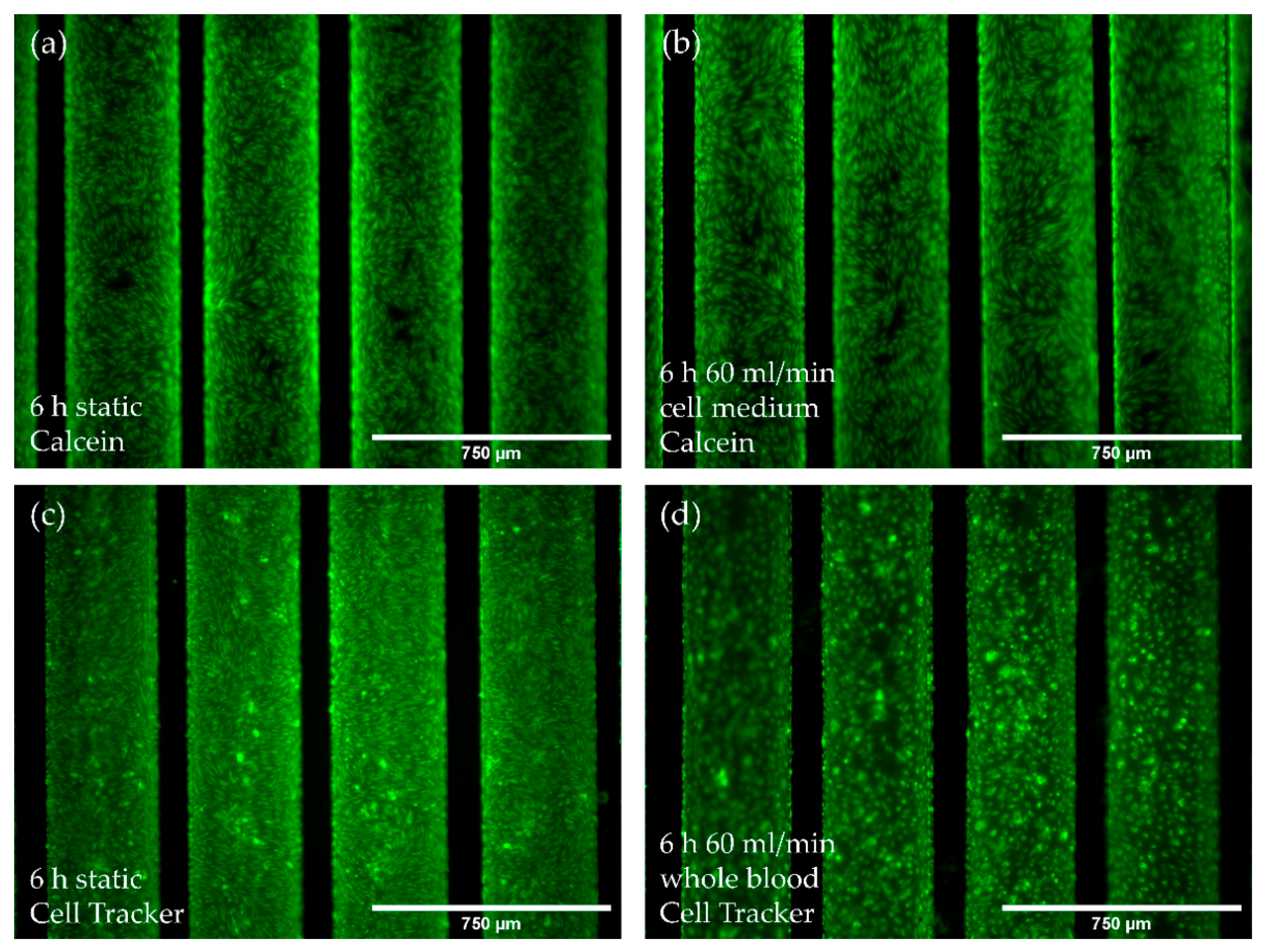 Membranes 12 00687 g005 550