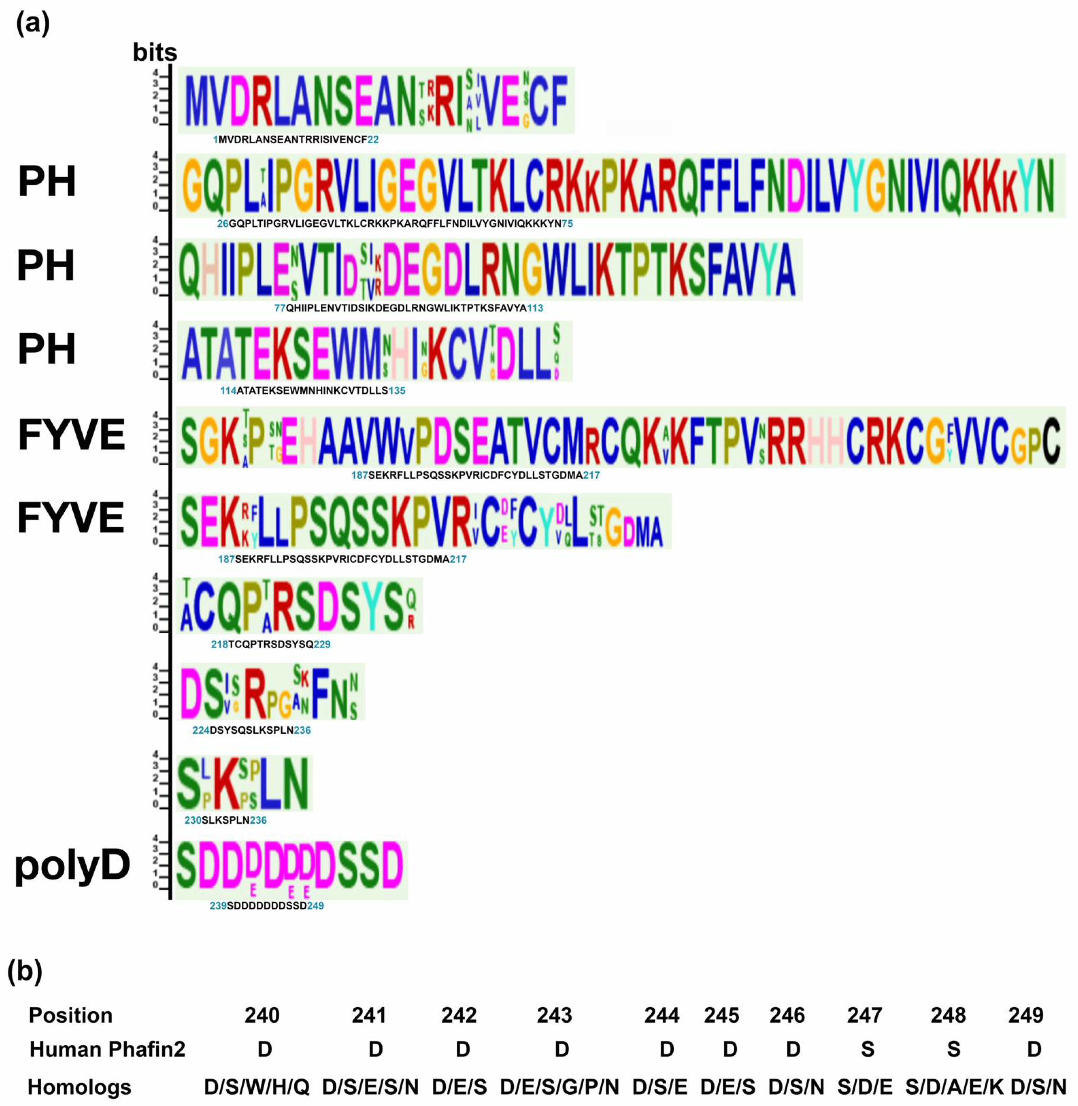 Membranes 12 00696 g002 Membranes 12 00696 g002