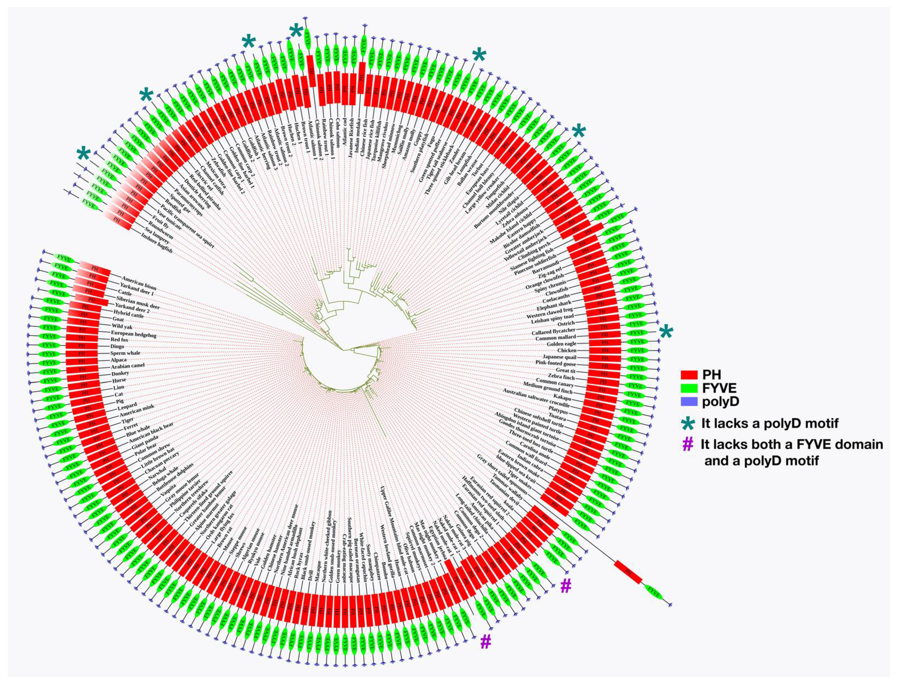 Membranes 12 00696 g003 Membranes 12 00696 g003