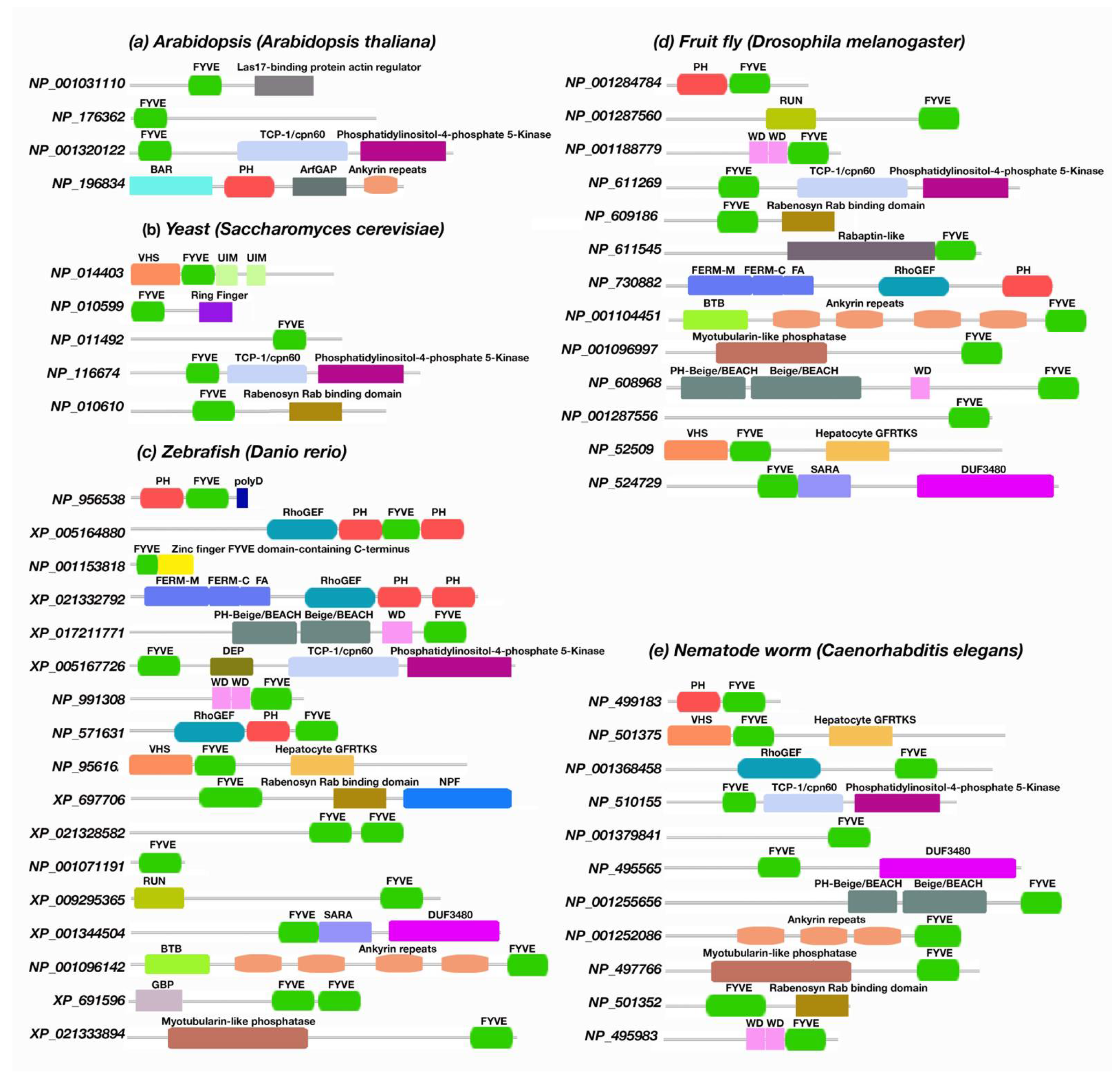 Membranes 12 00696 g006 Membranes 12 00696 g006