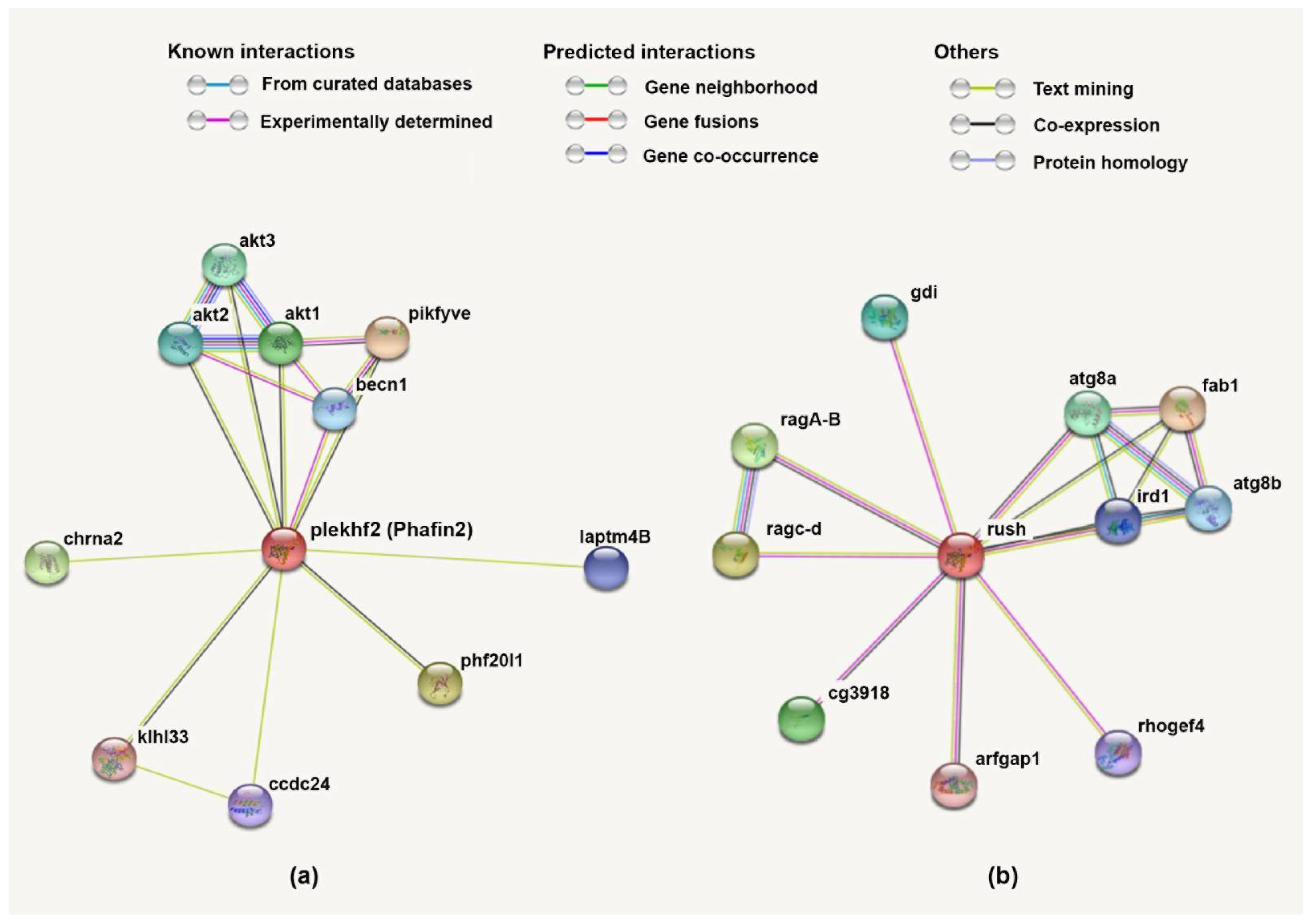 Membranes 12 00696 g007 Membranes 12 00696 g007