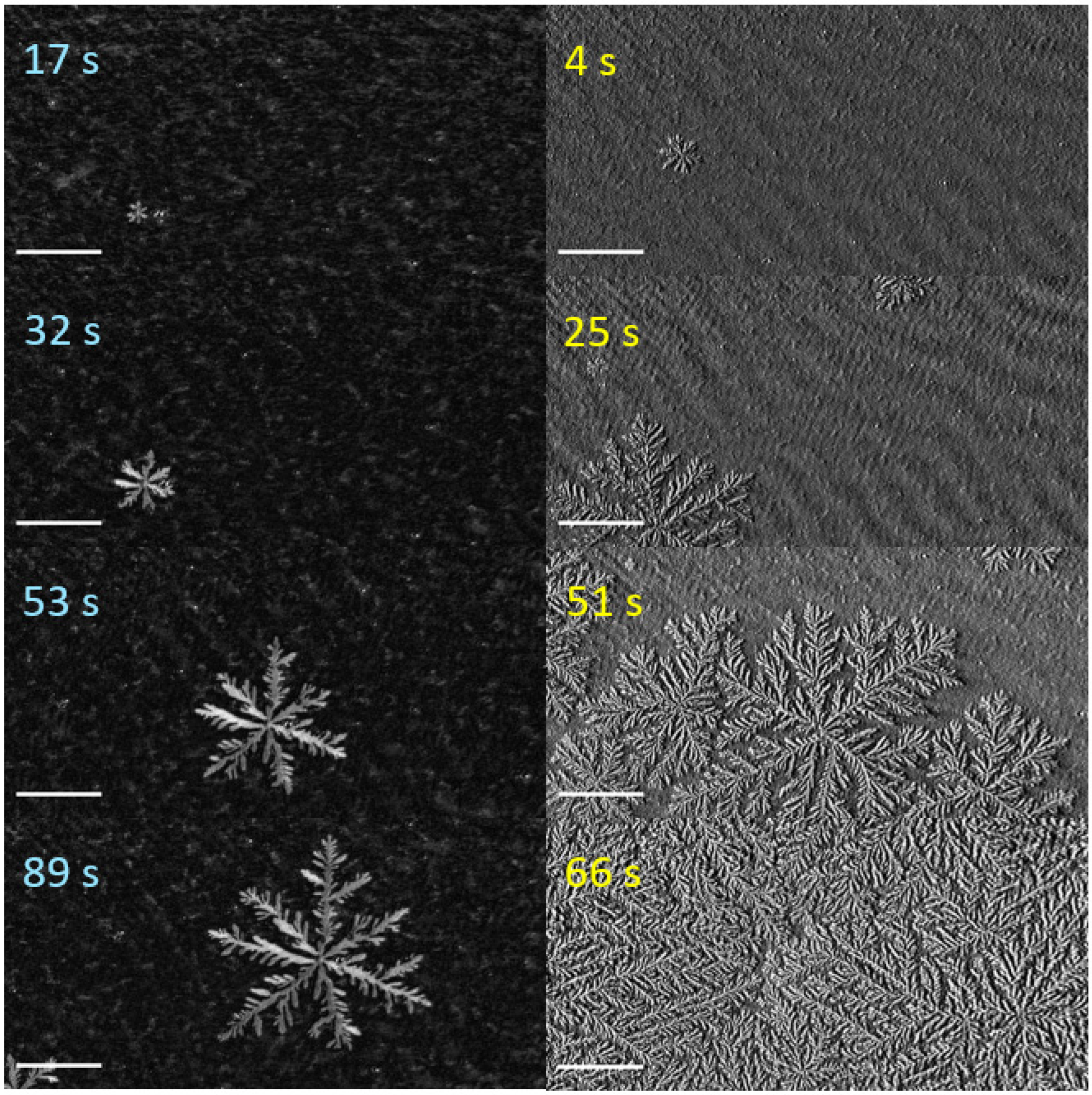 Membranes 12 00698 g002