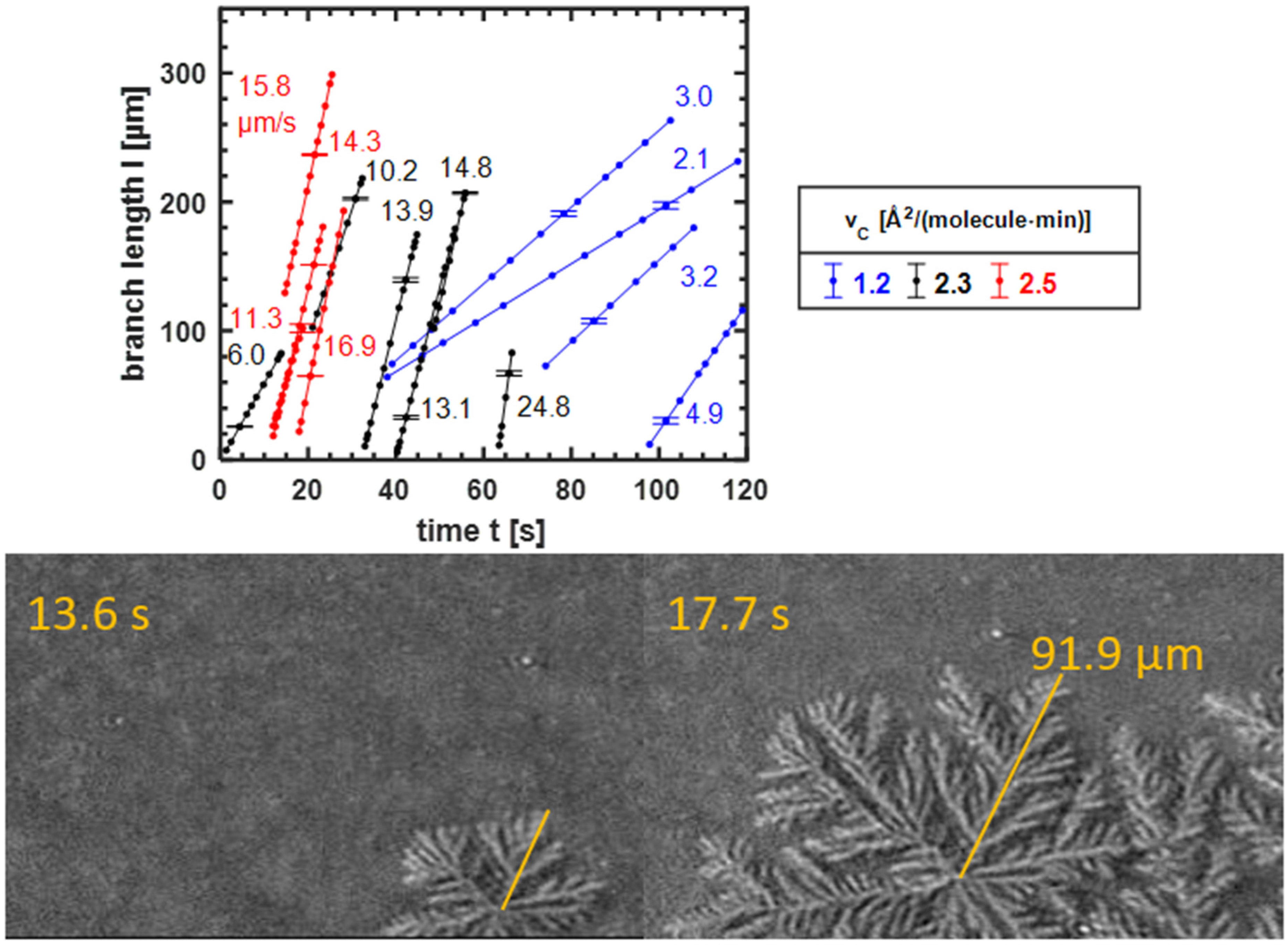 Membranes 12 00698 g004