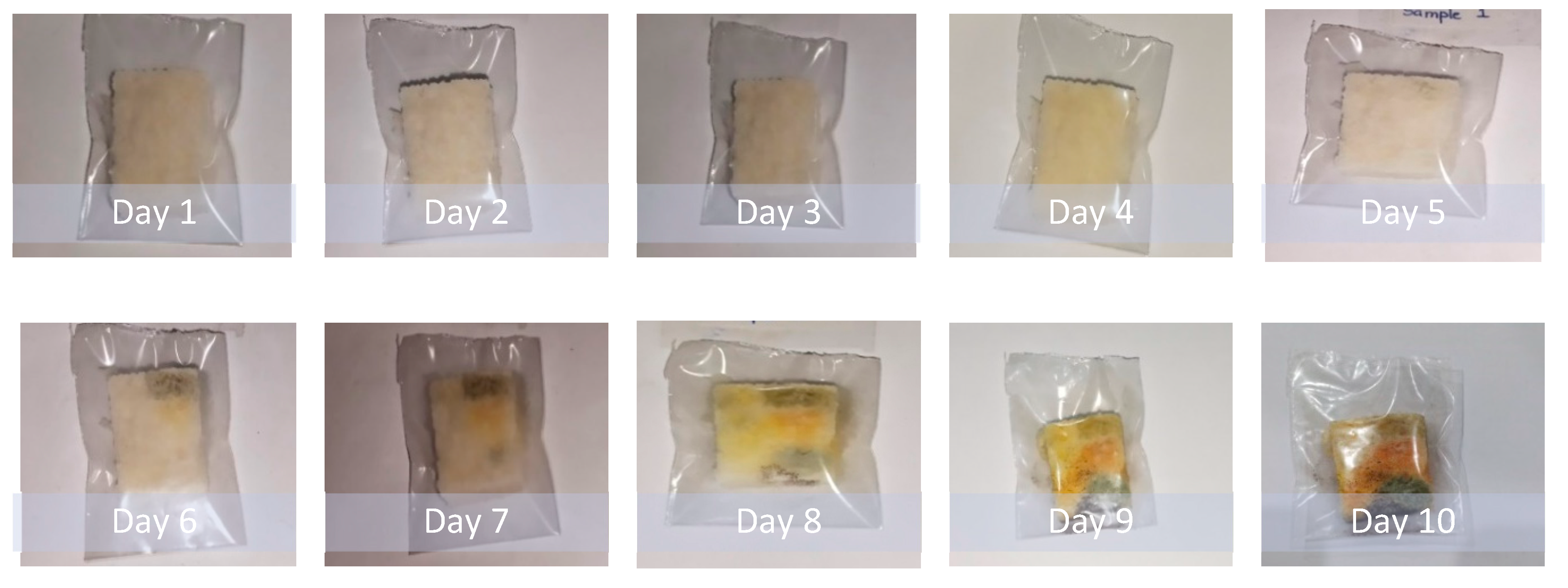 Membranes 12 00701 g007