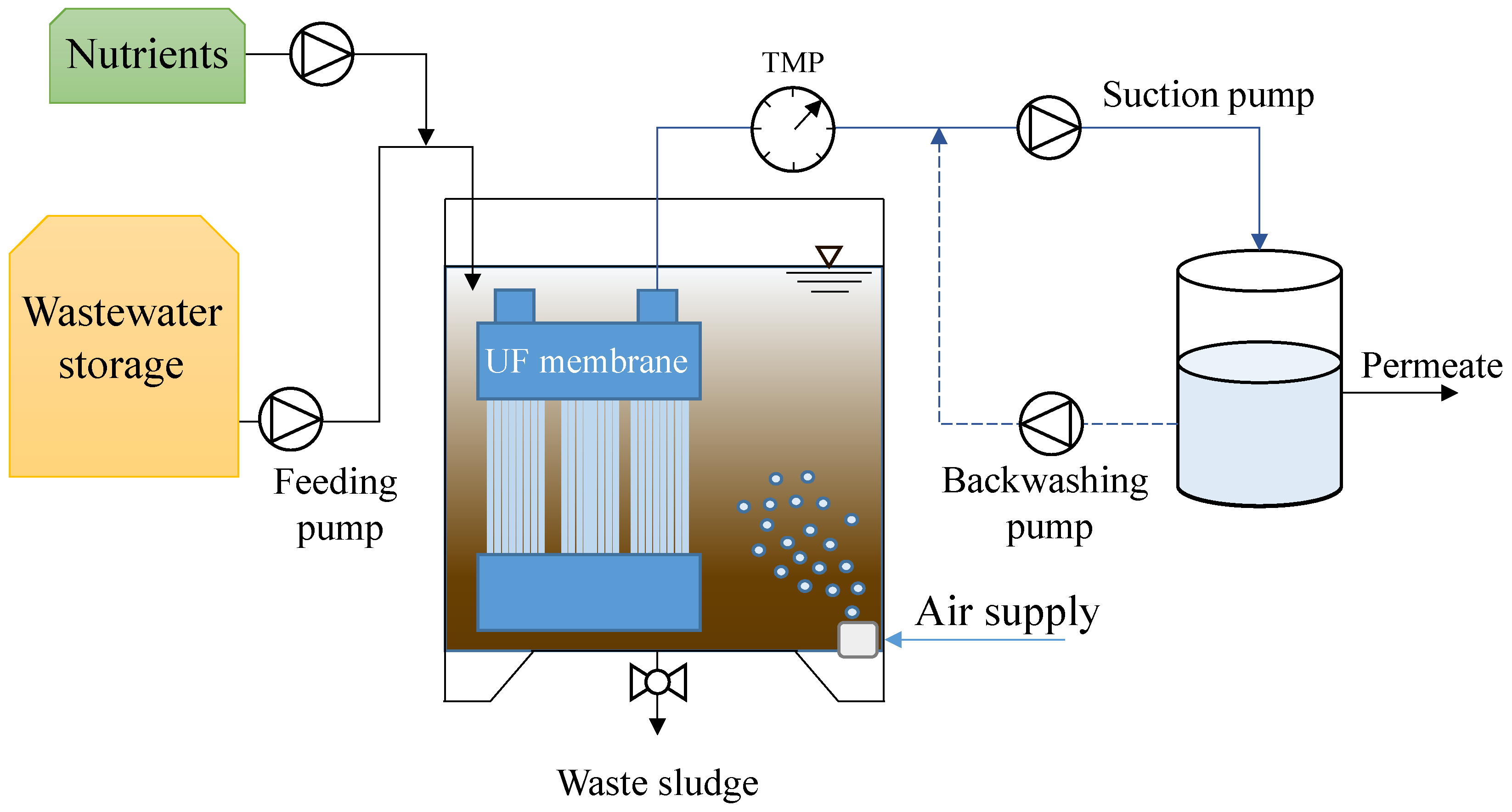 Membranes 12 00703 g001