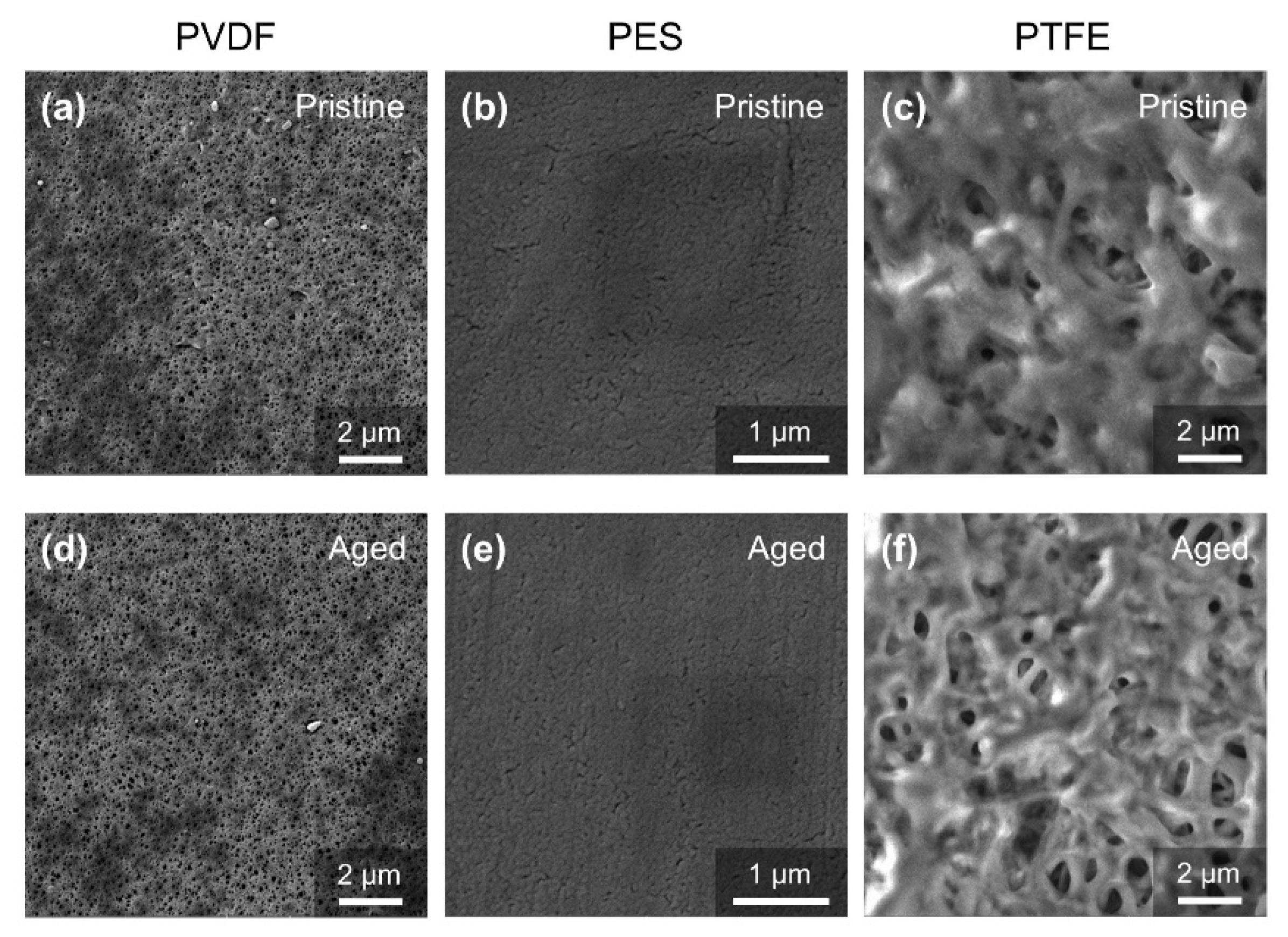 Membranes 12 00704 g003 550