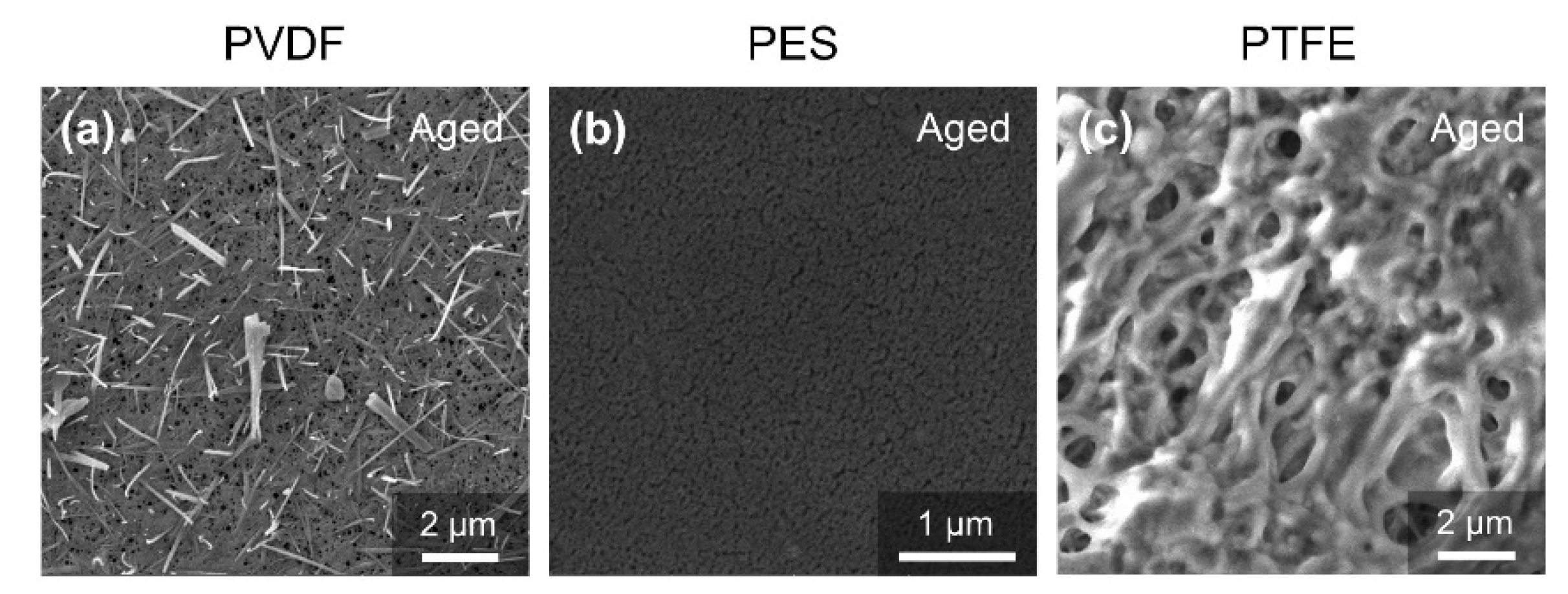 Membranes 12 00704 g006 550