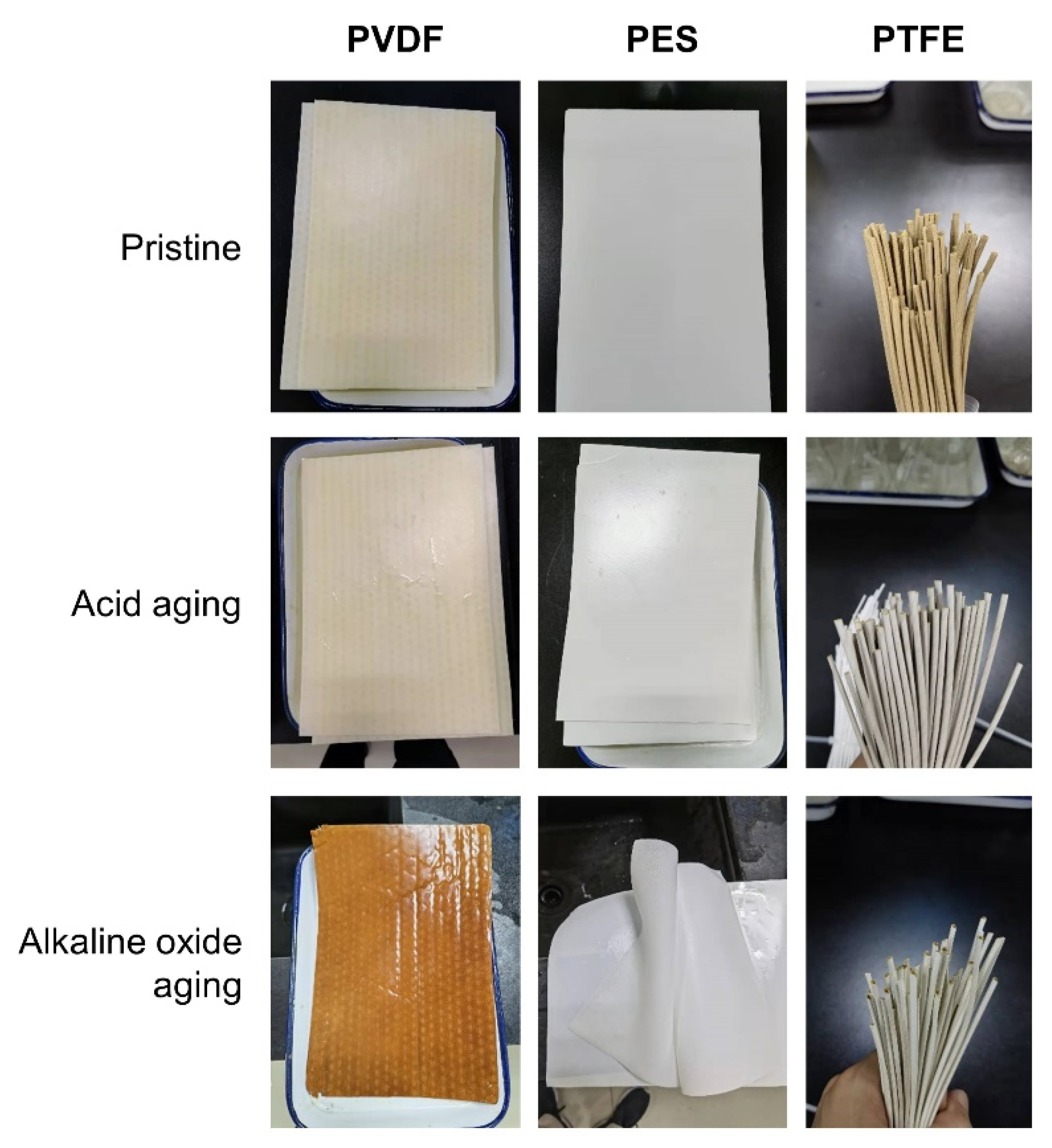 Membranes 12 00704 g007 550