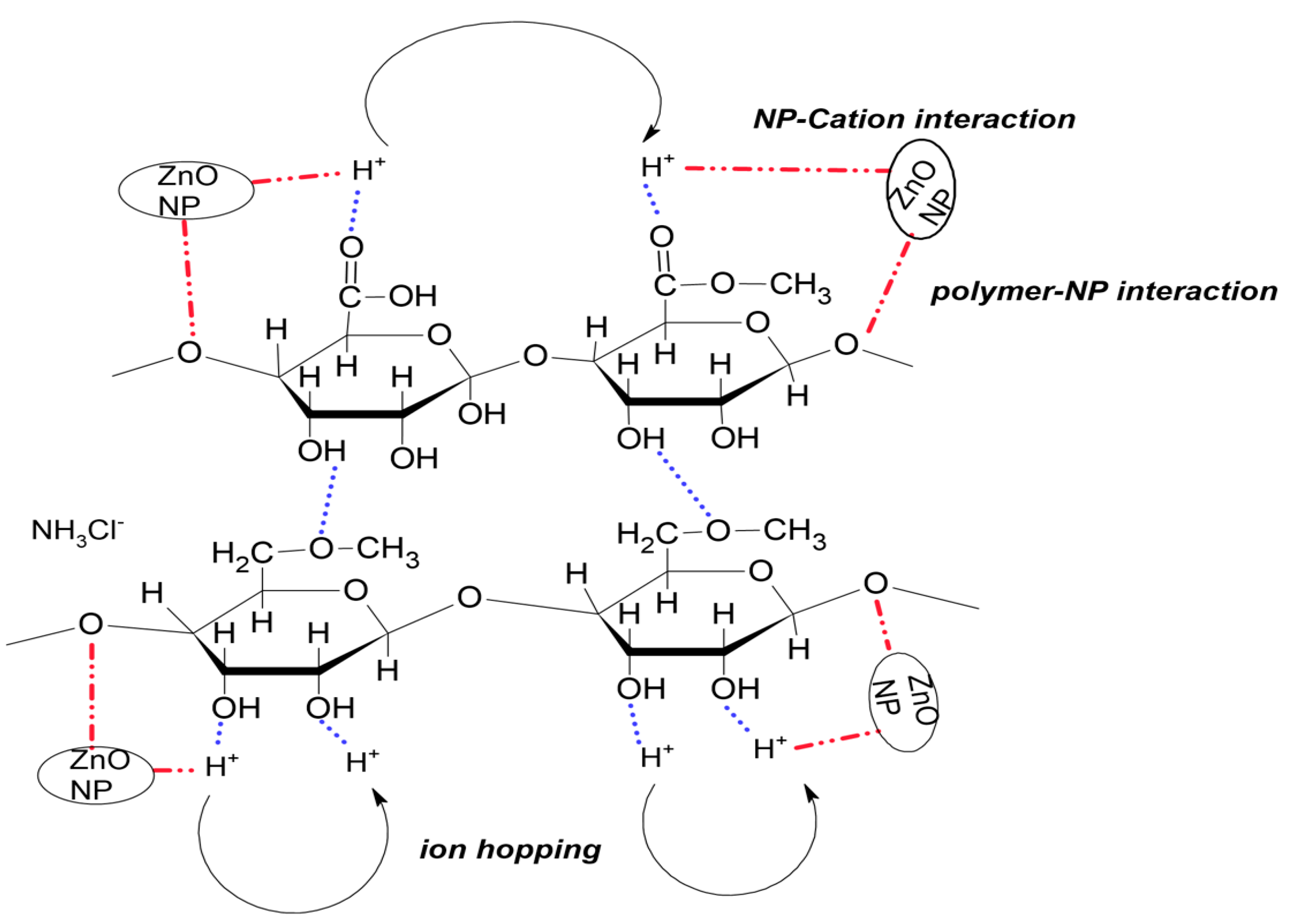 Membranes 12 00706 g003