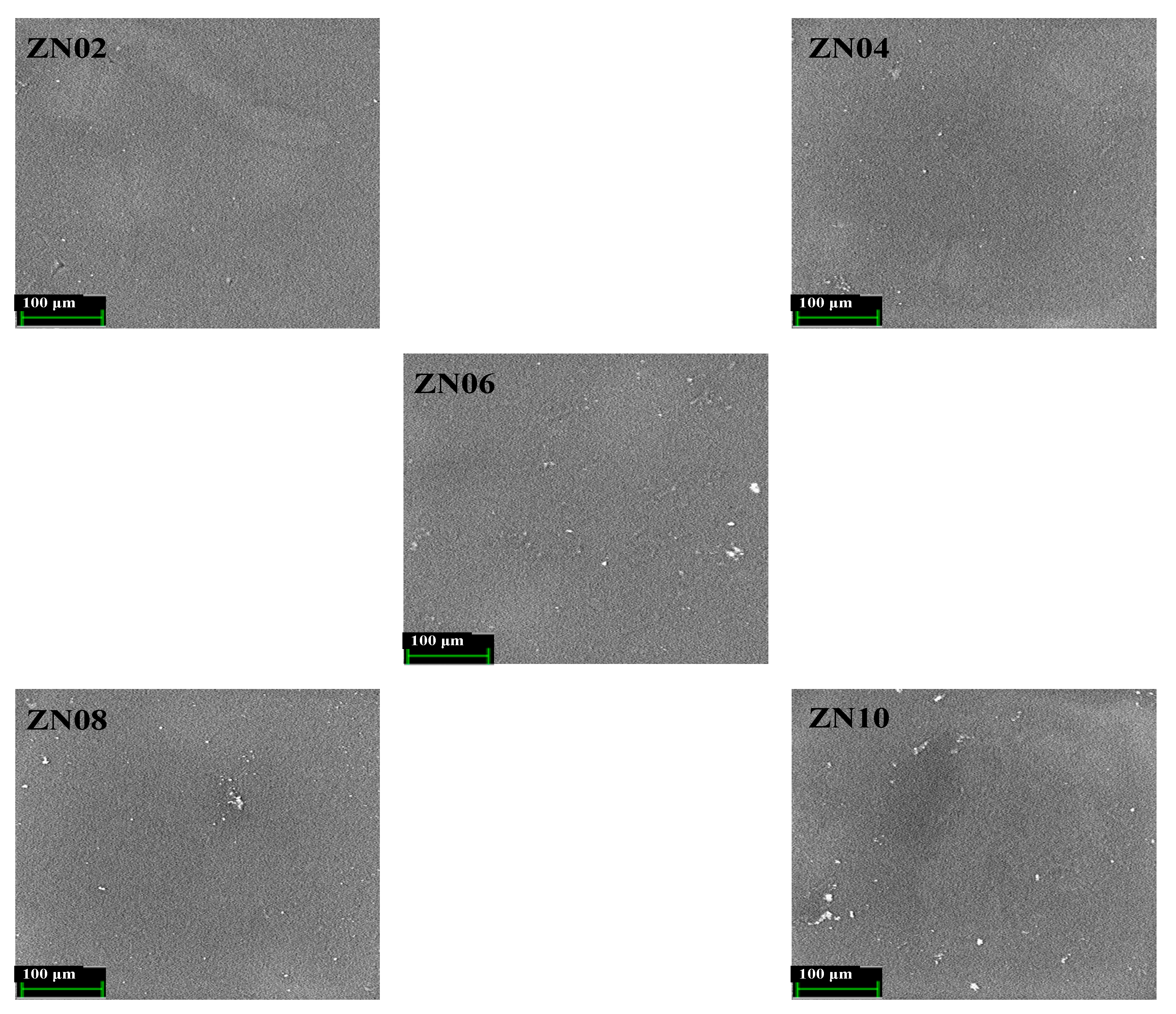 Membranes 12 00706 g005