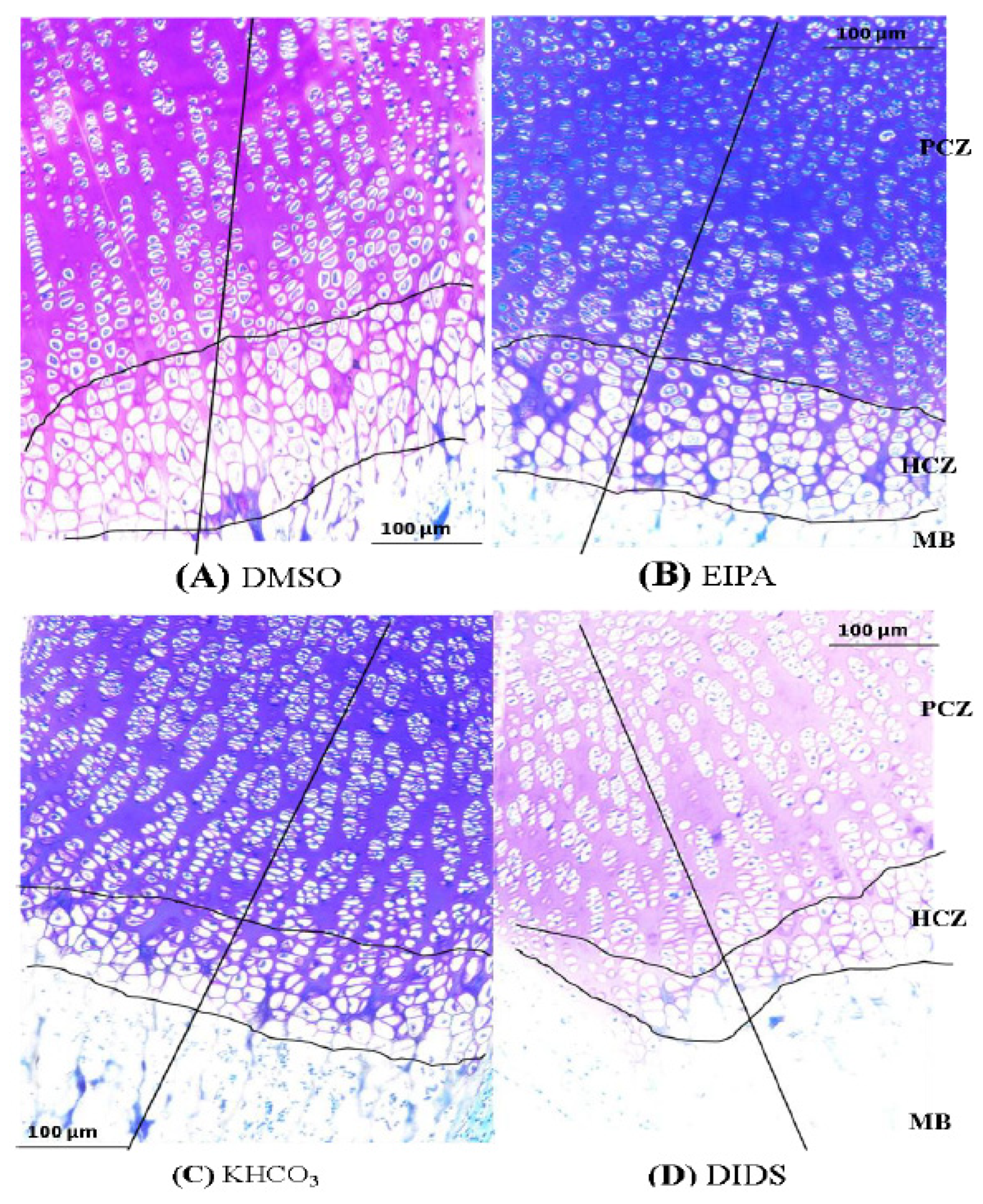 Membranes 12 00707 g004