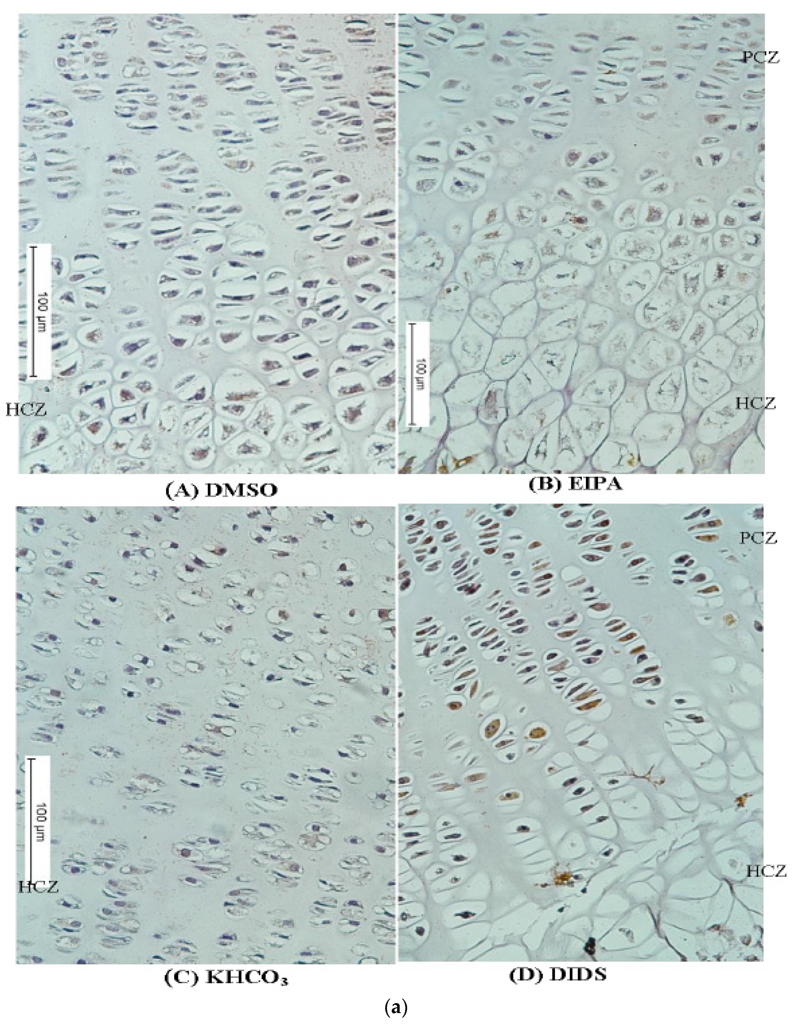 Membranes 12 00707 g005a