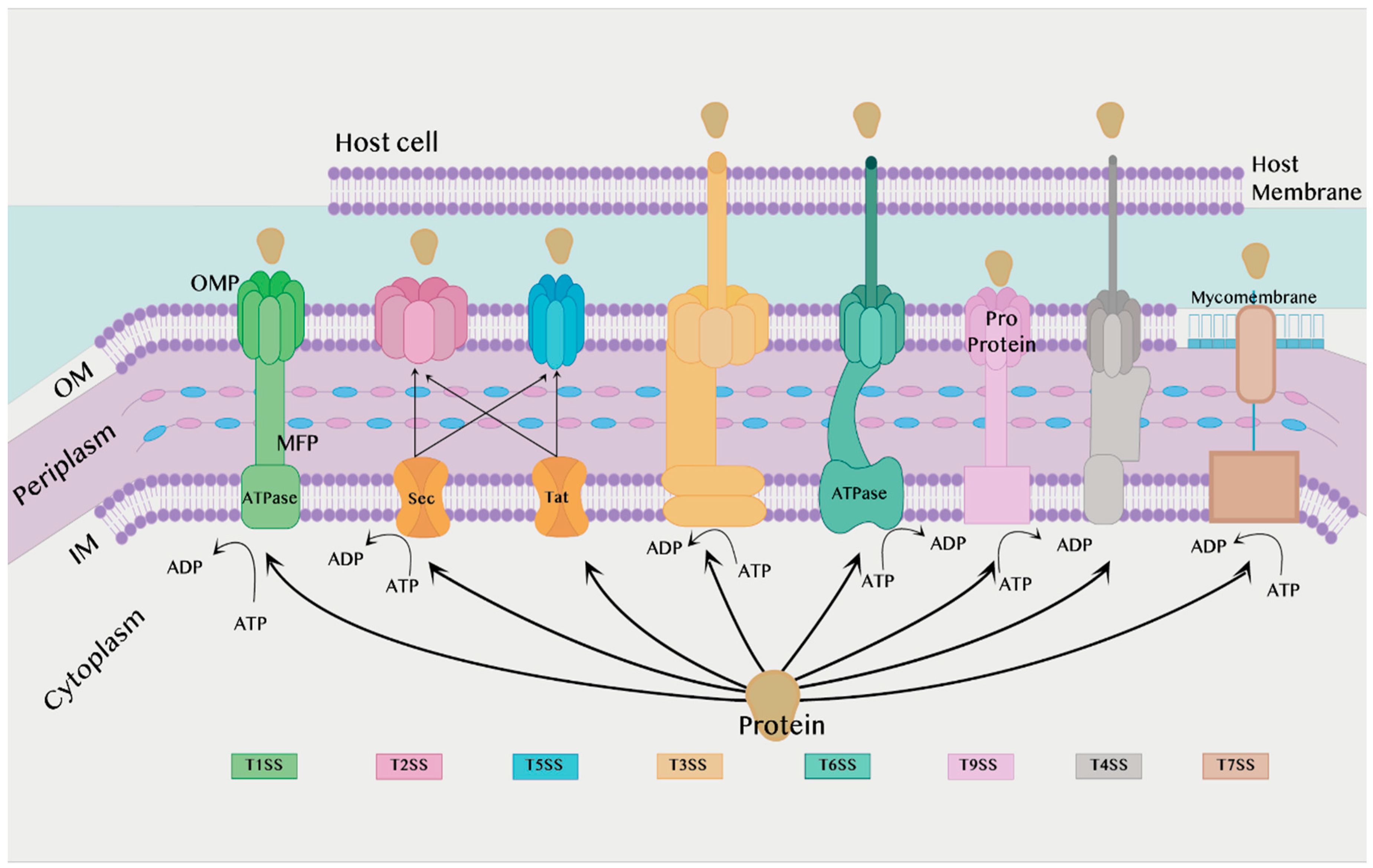 Membranes 12 00715 g001 550