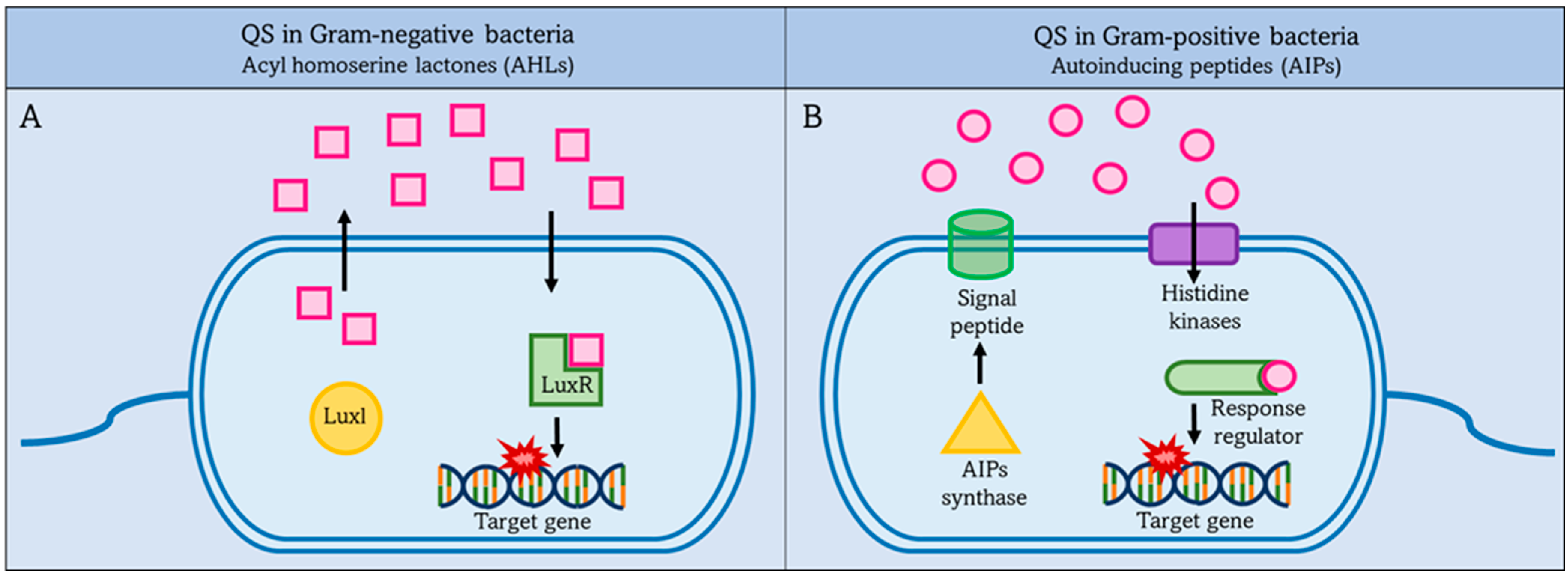Membranes 12 00715 g002 550