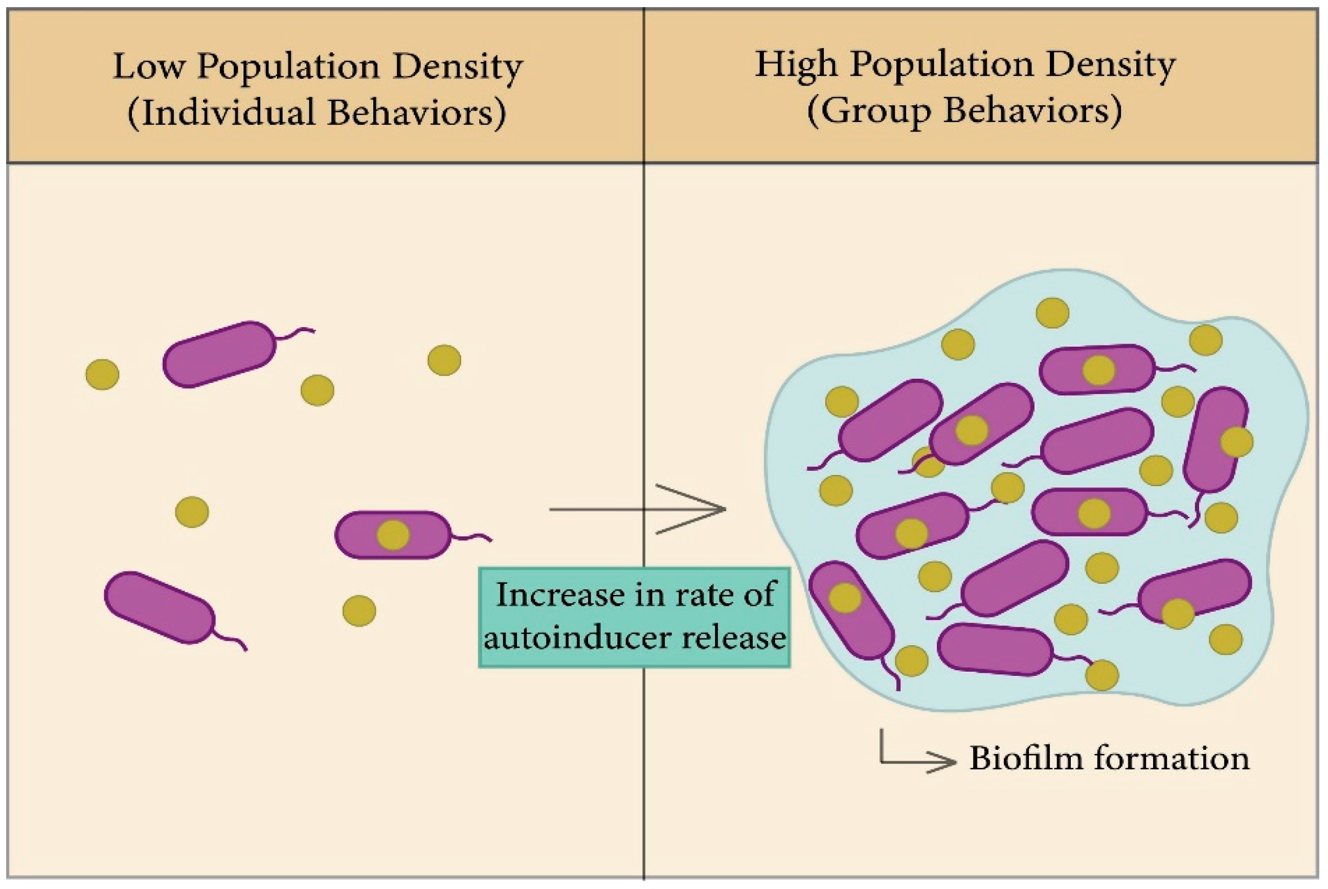Membranes 12 00715 g003 550