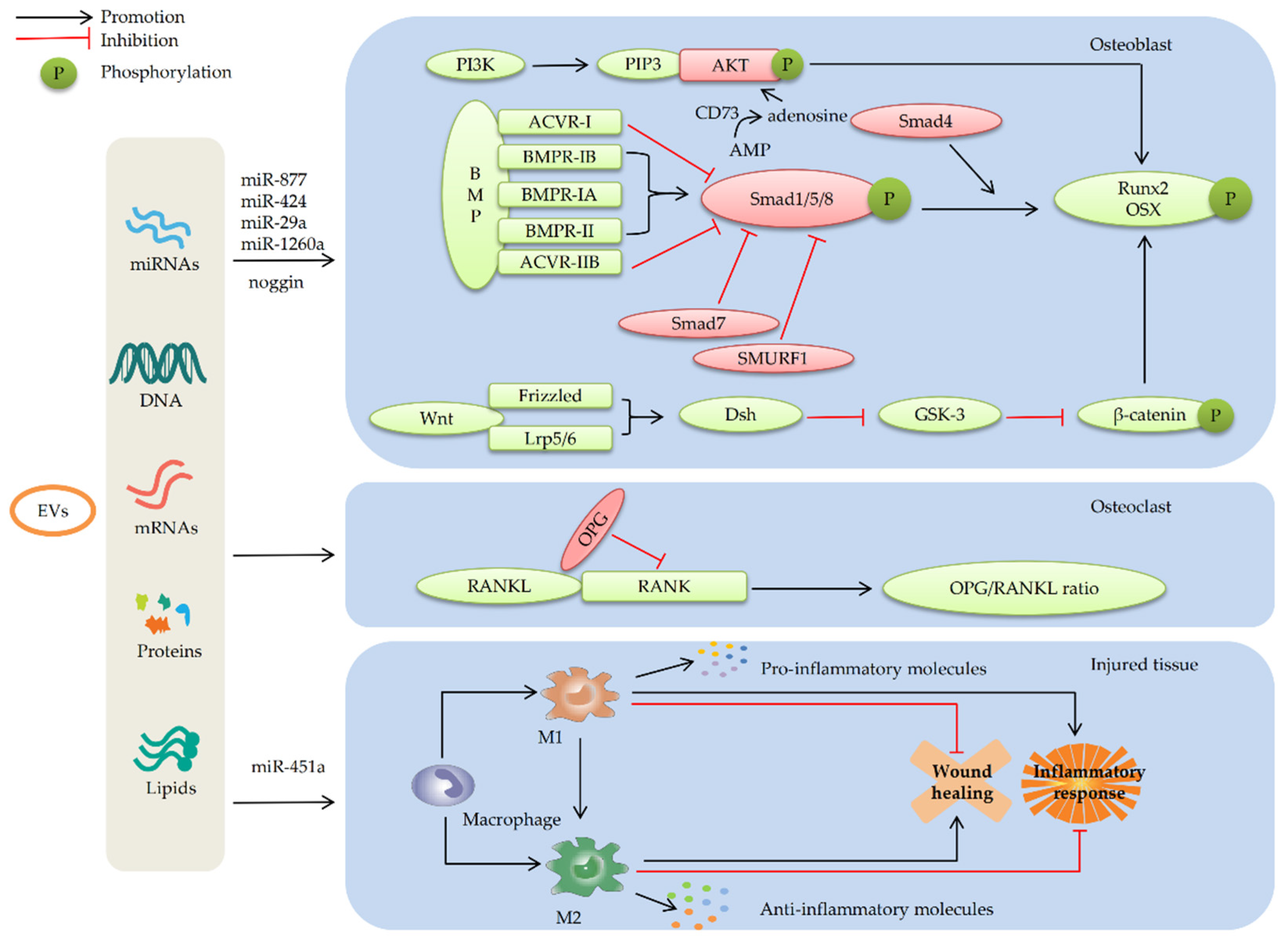 Membranes 12 00716 g003