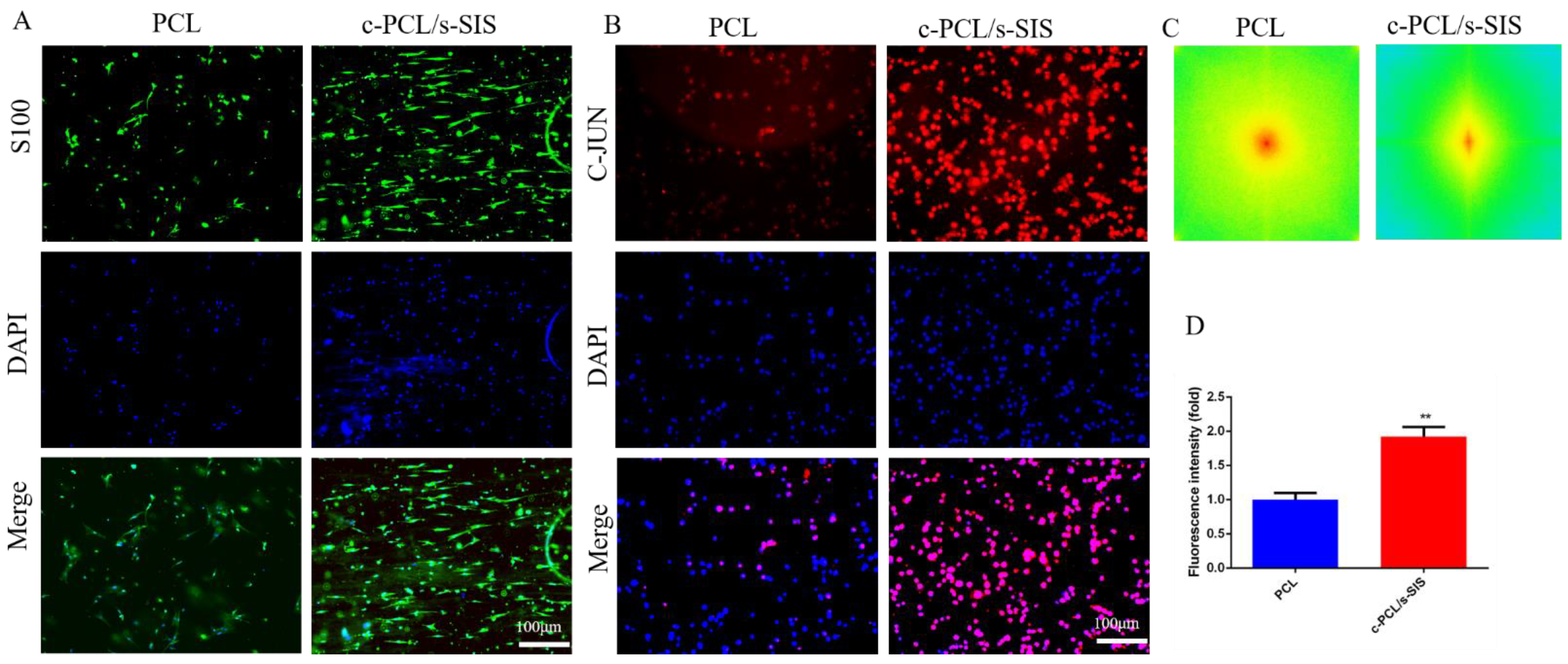 Membranes 12 00719 g005