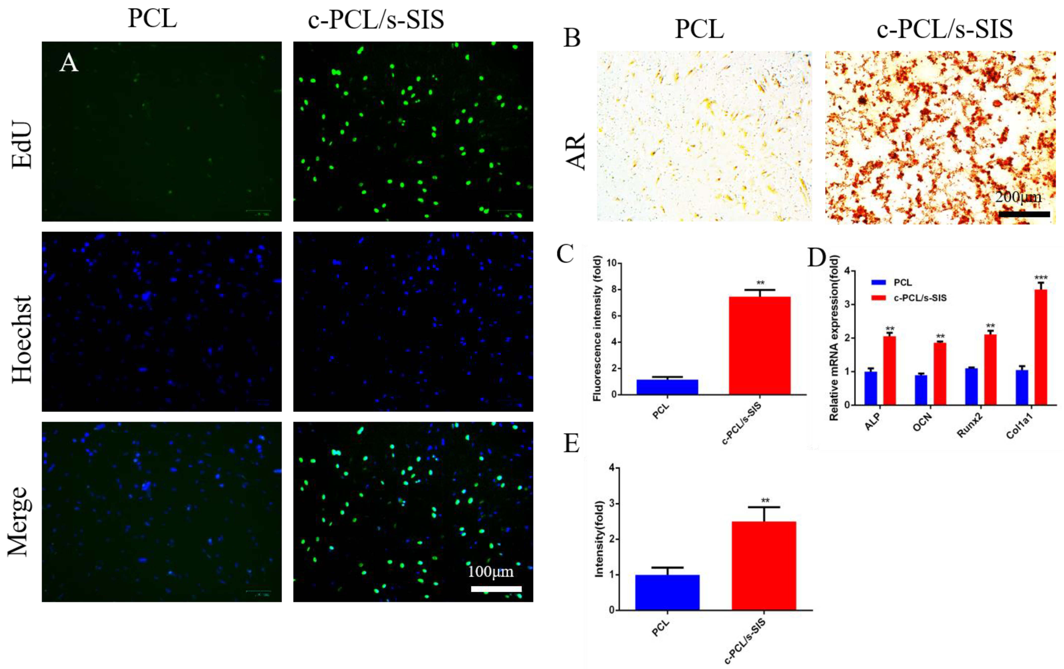 Membranes 12 00719 g006