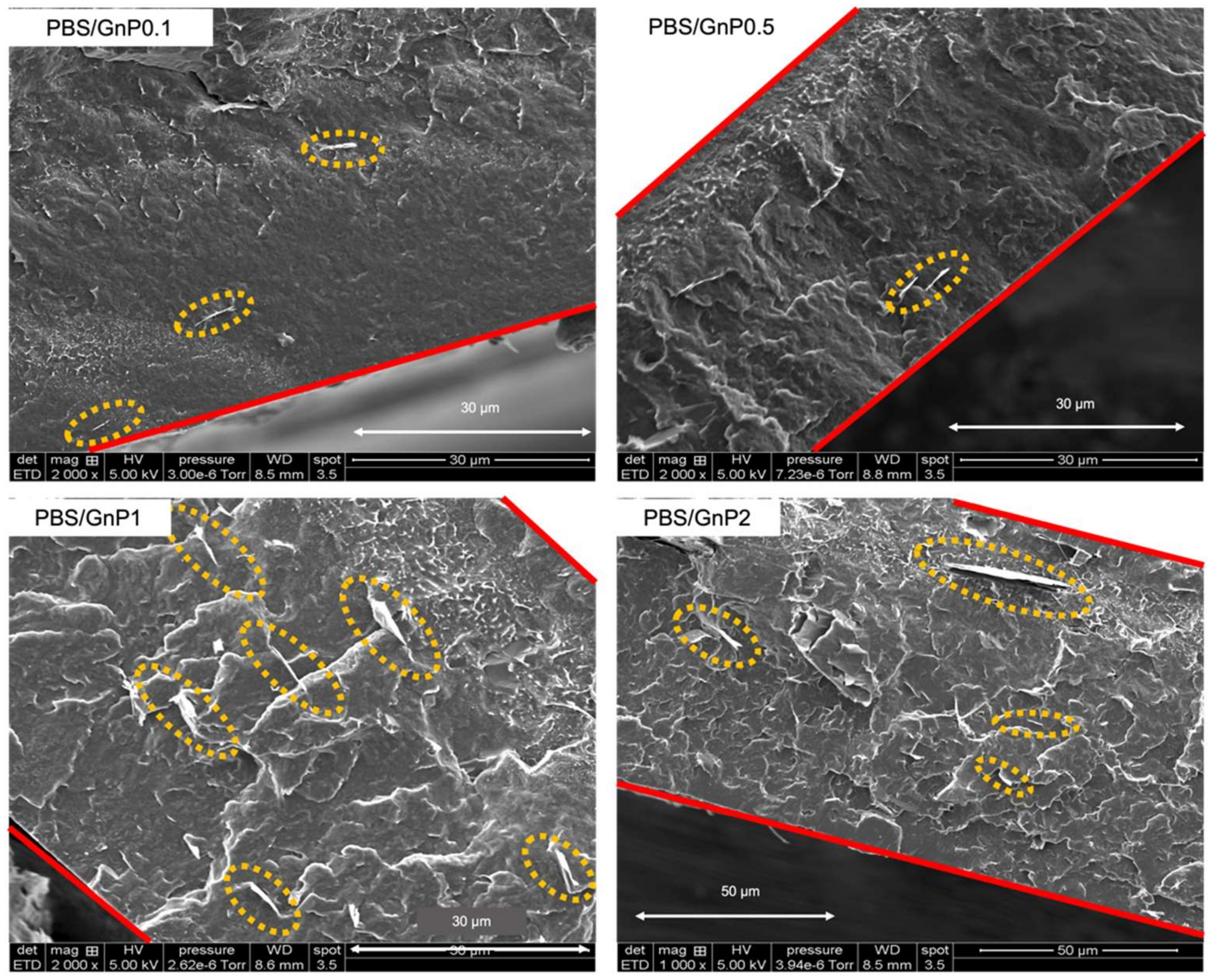 Membranes 12 00721 g002 Membranes 12 00721 g002