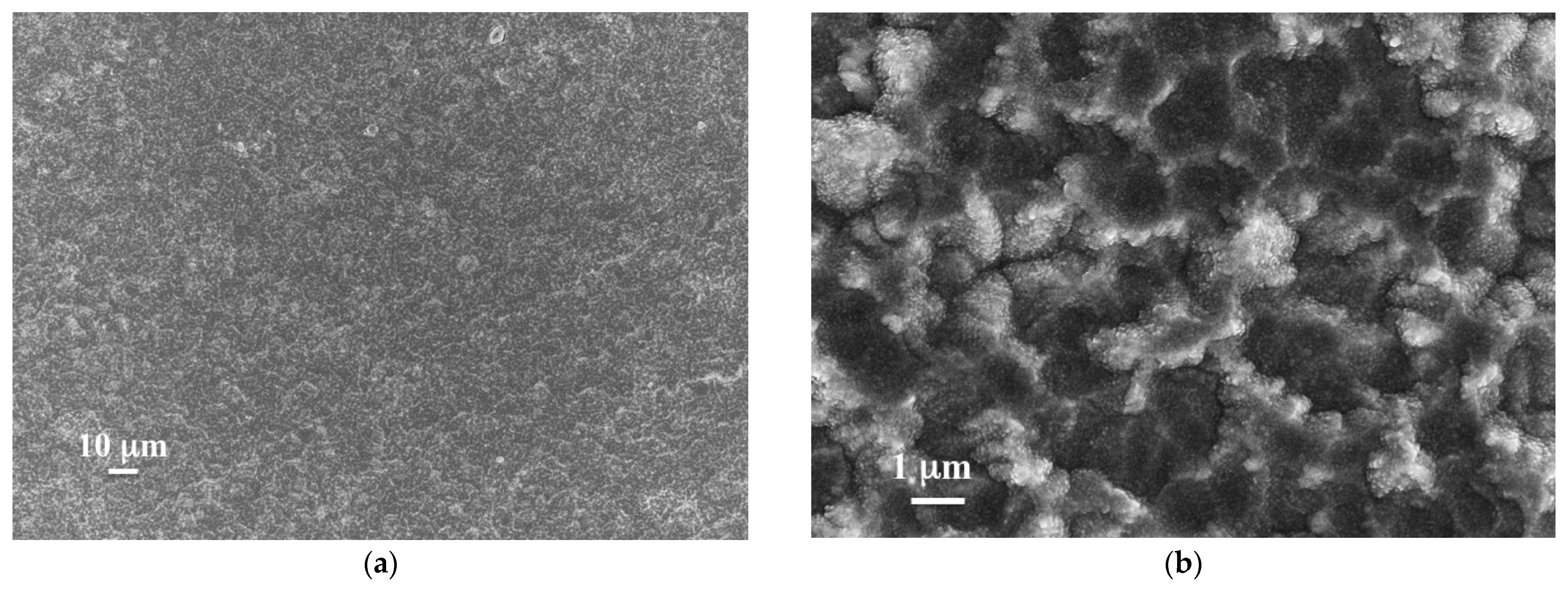 Membranes 12 00722 g002 550