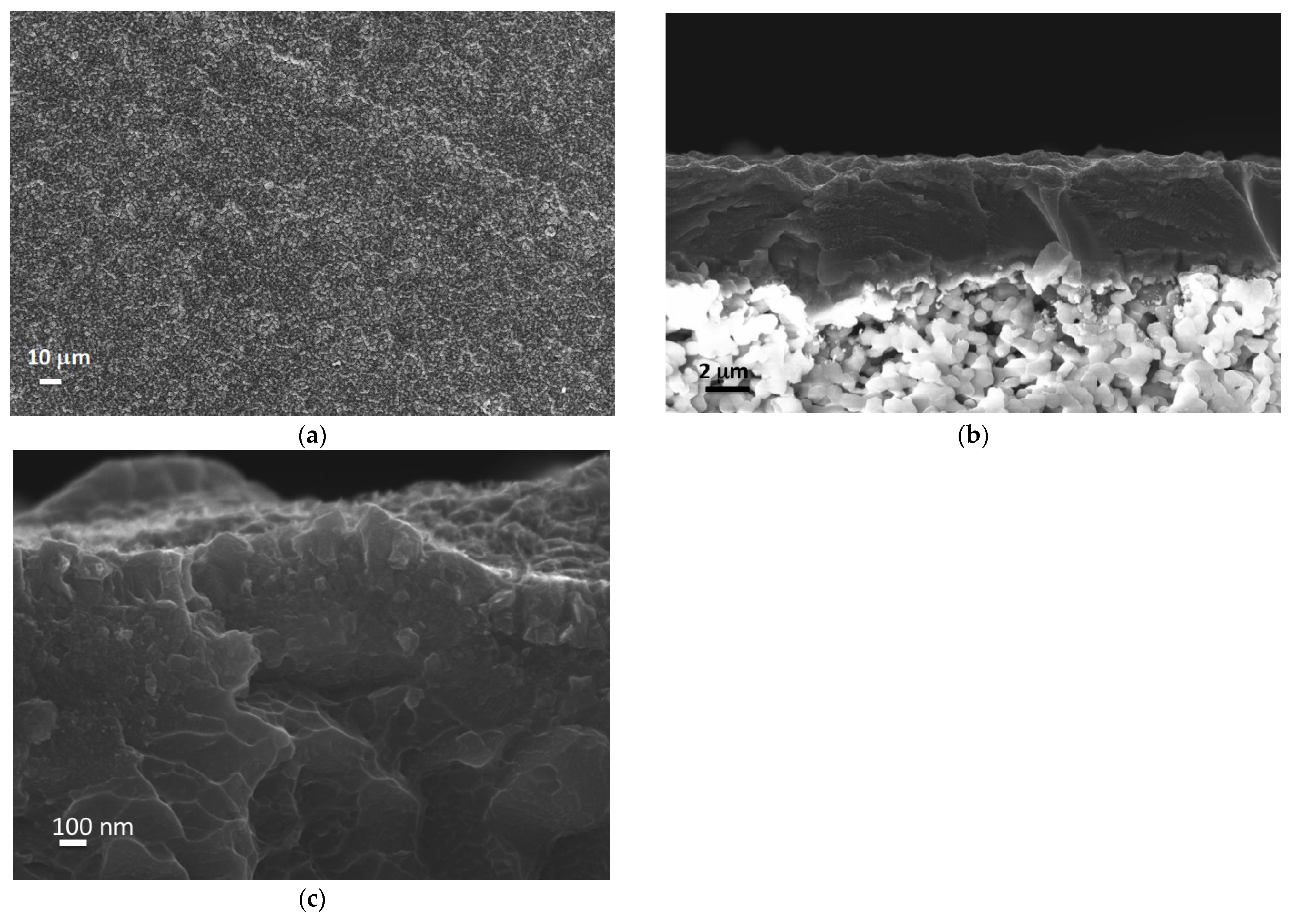 Membranes 12 00722 g007 550