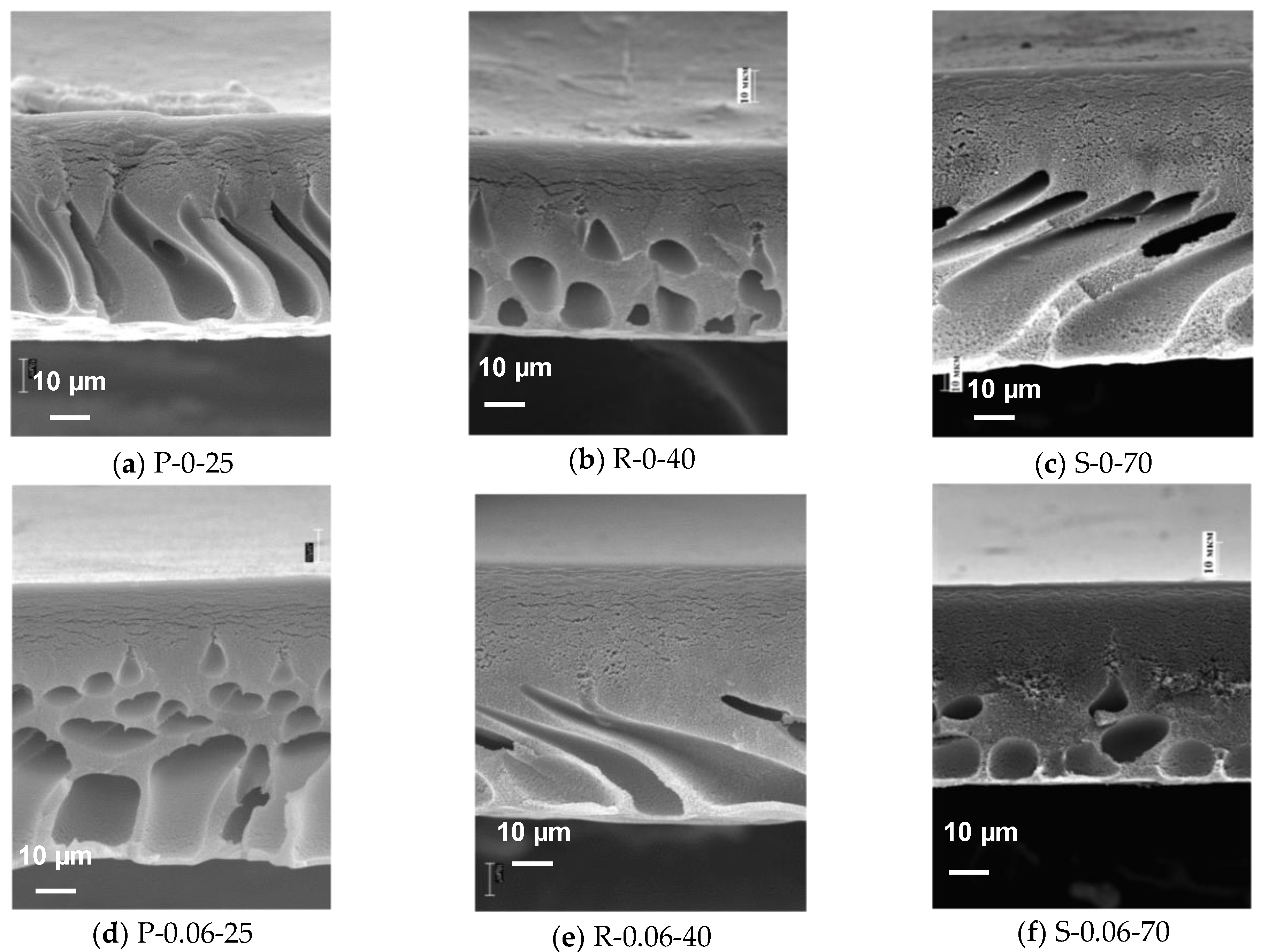 Membranes 12 00724 g006a
