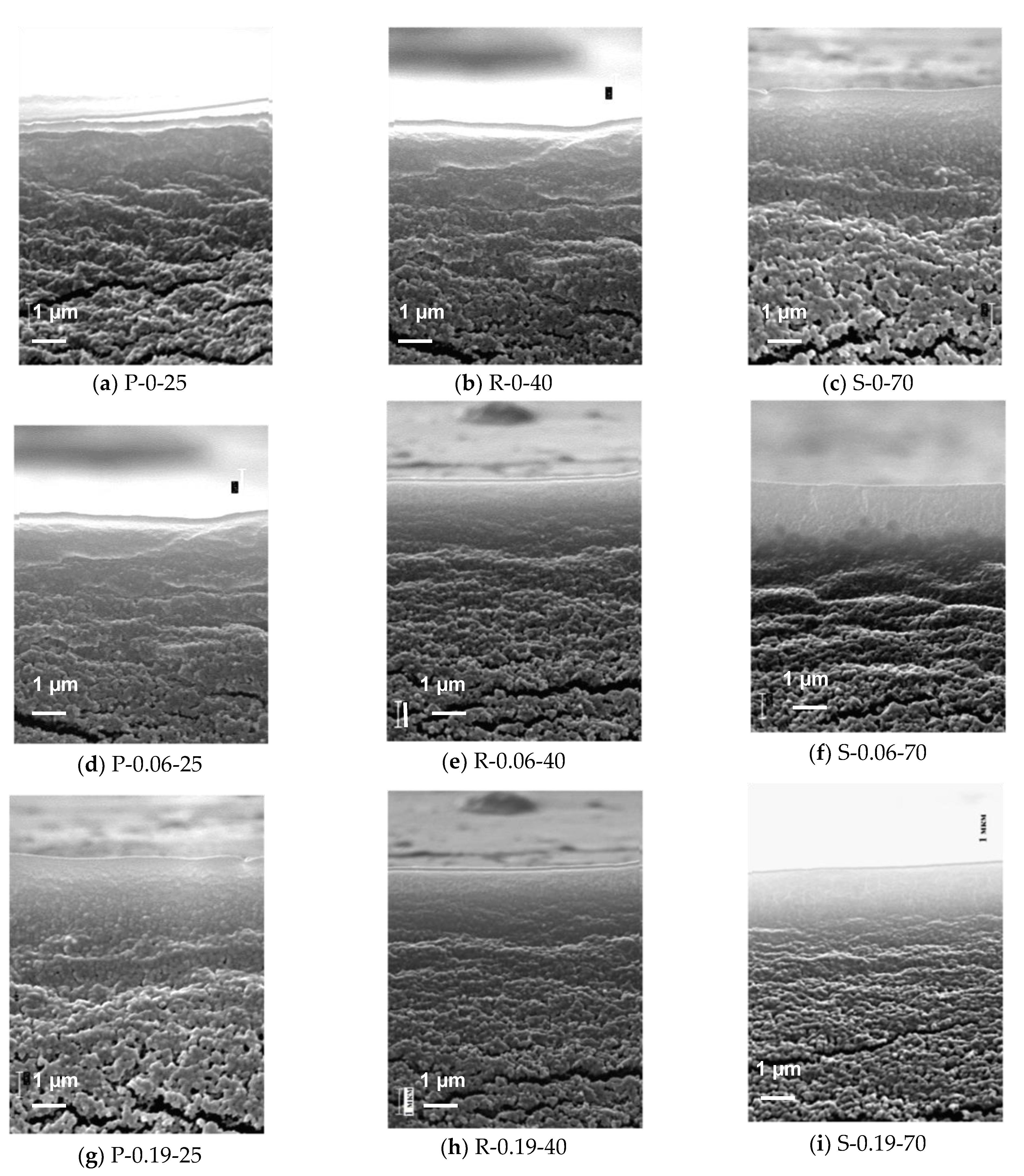 Membranes 12 00724 g007