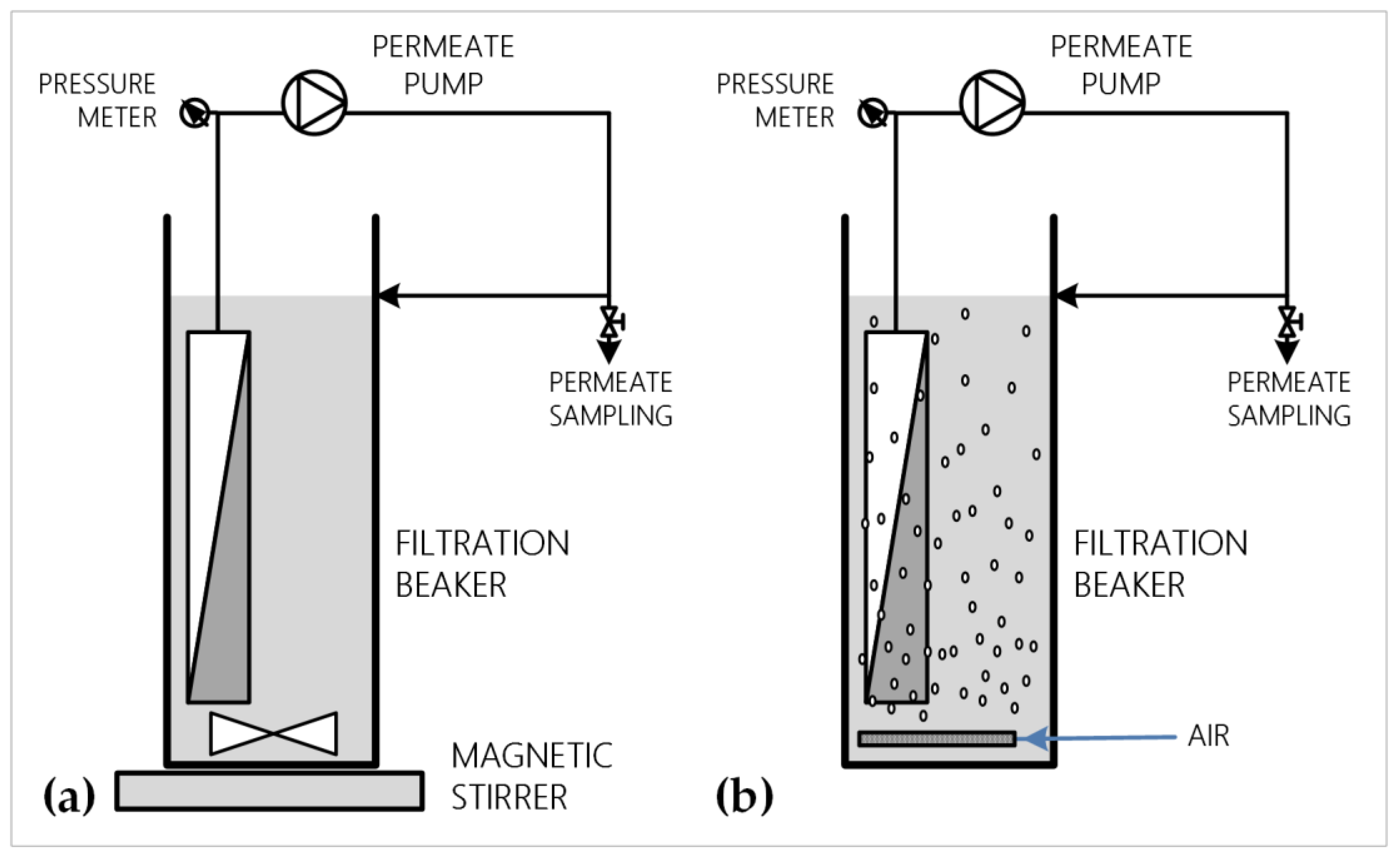 Membranes 12 00725 g001