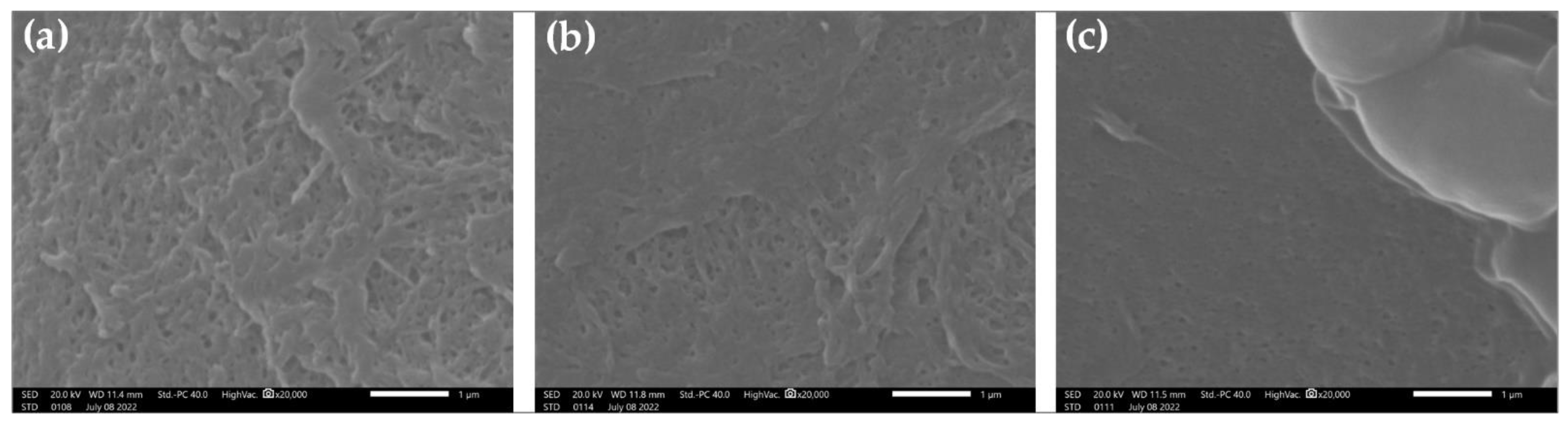 Membranes 12 00725 g006