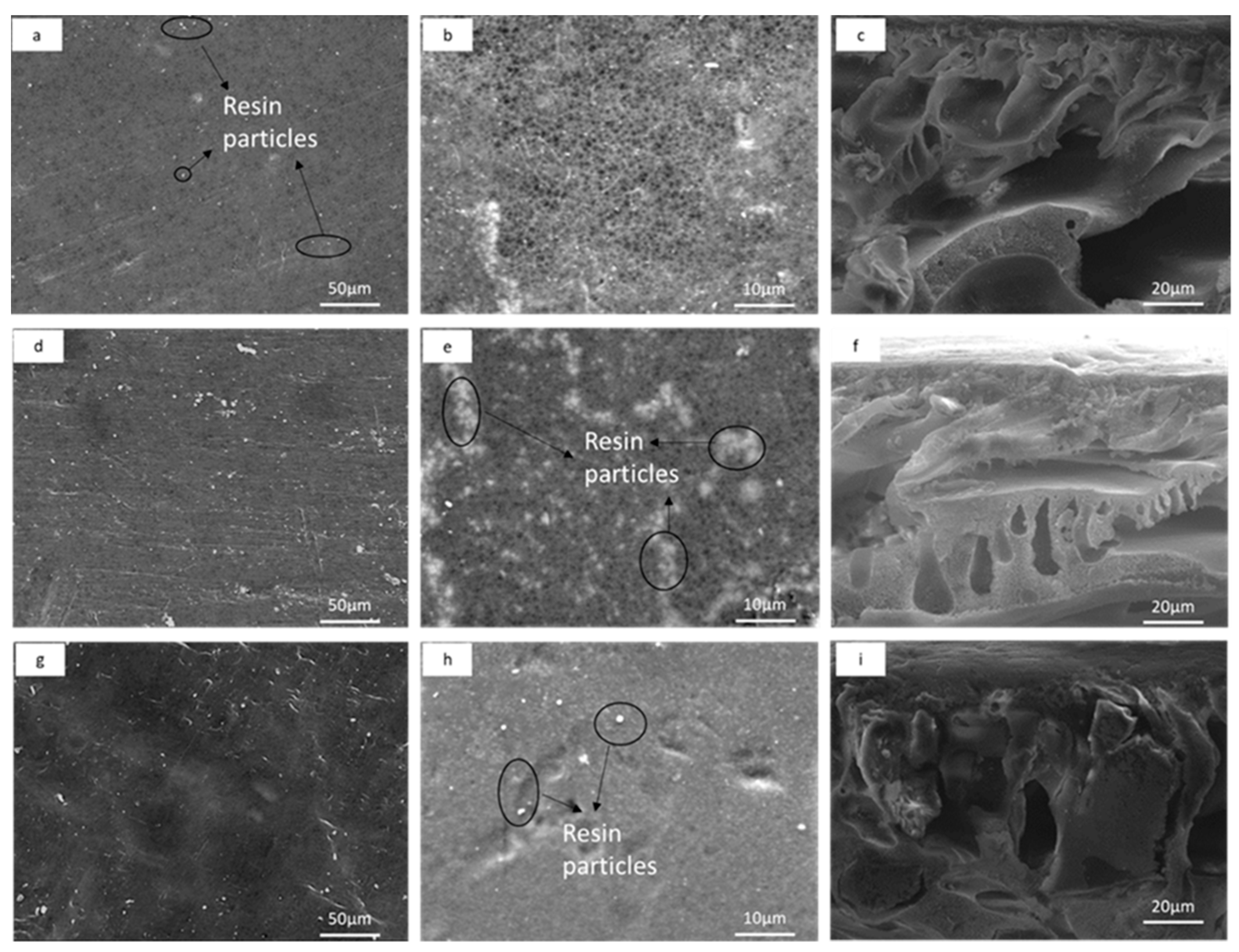 Membranes 12 00736 g003 Membranes 12 00736 g003
