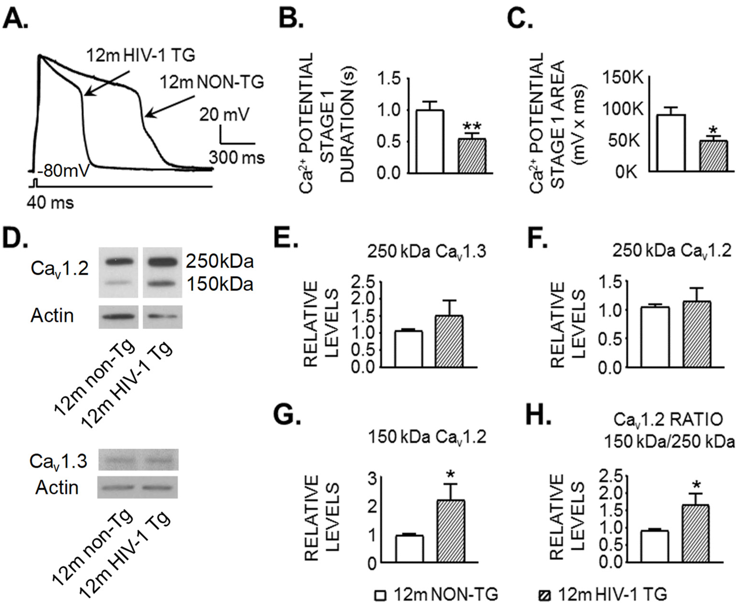 Membranes 12 00737 g002 Membranes 12 00737 g002