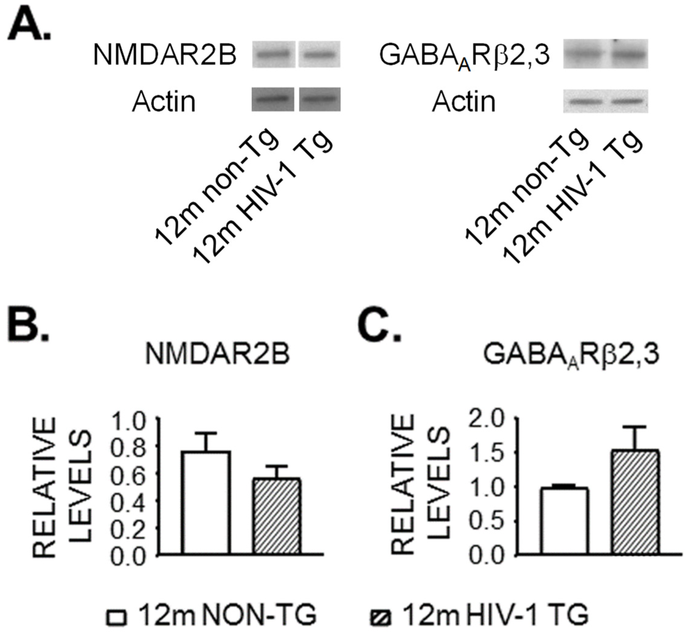 Membranes 12 00737 g003 Membranes 12 00737 g003