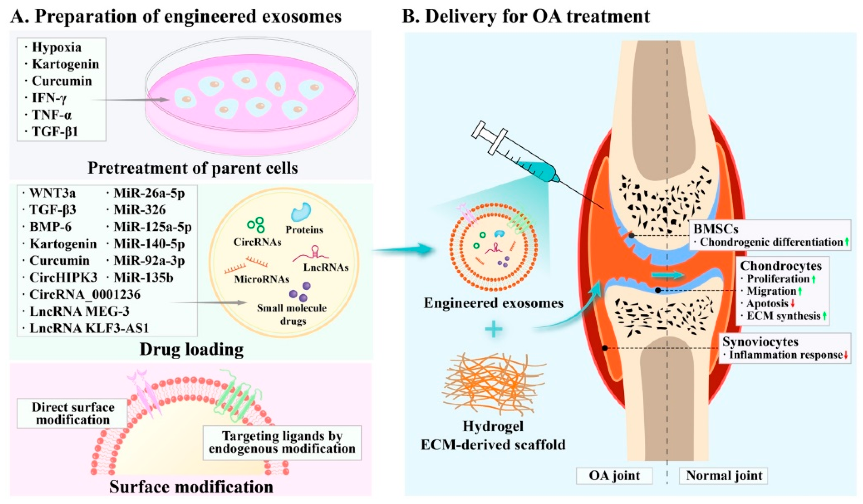 Membranes 12 00739 g003 550