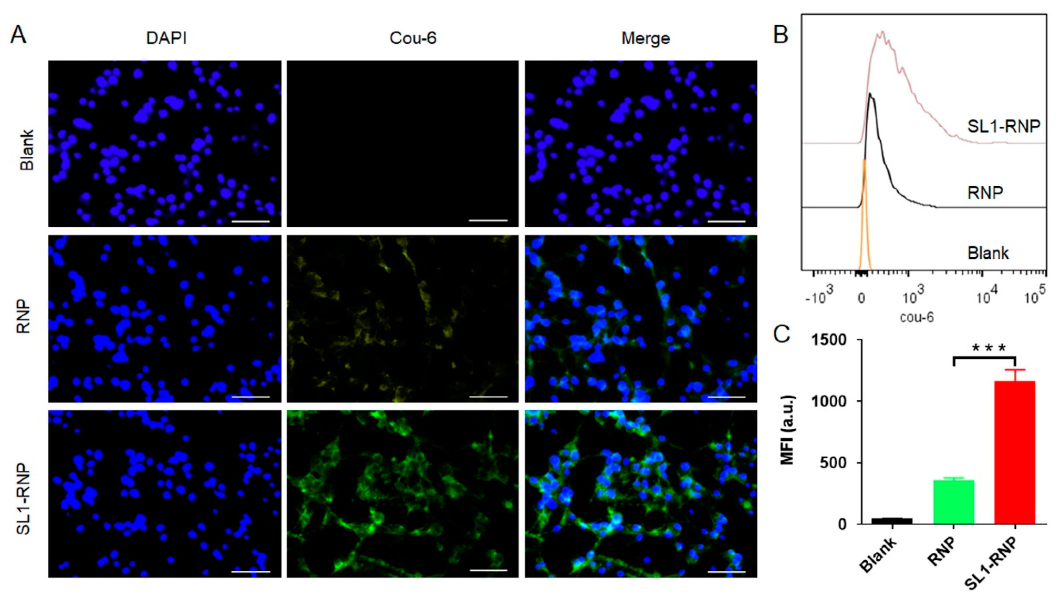 Membranes 12 00744 g003