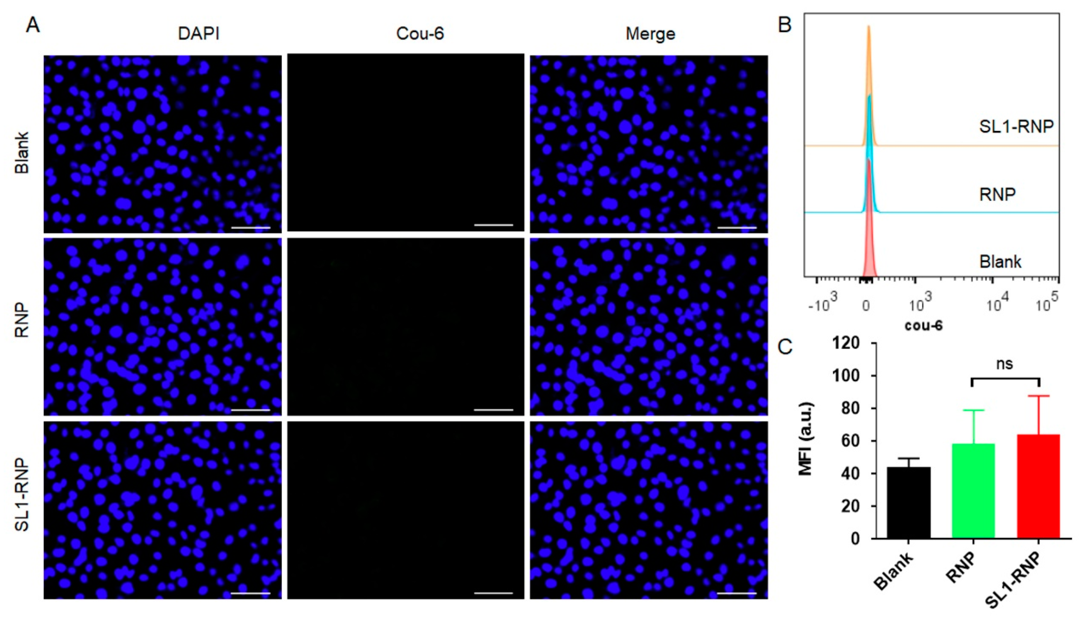 Membranes 12 00744 g004
