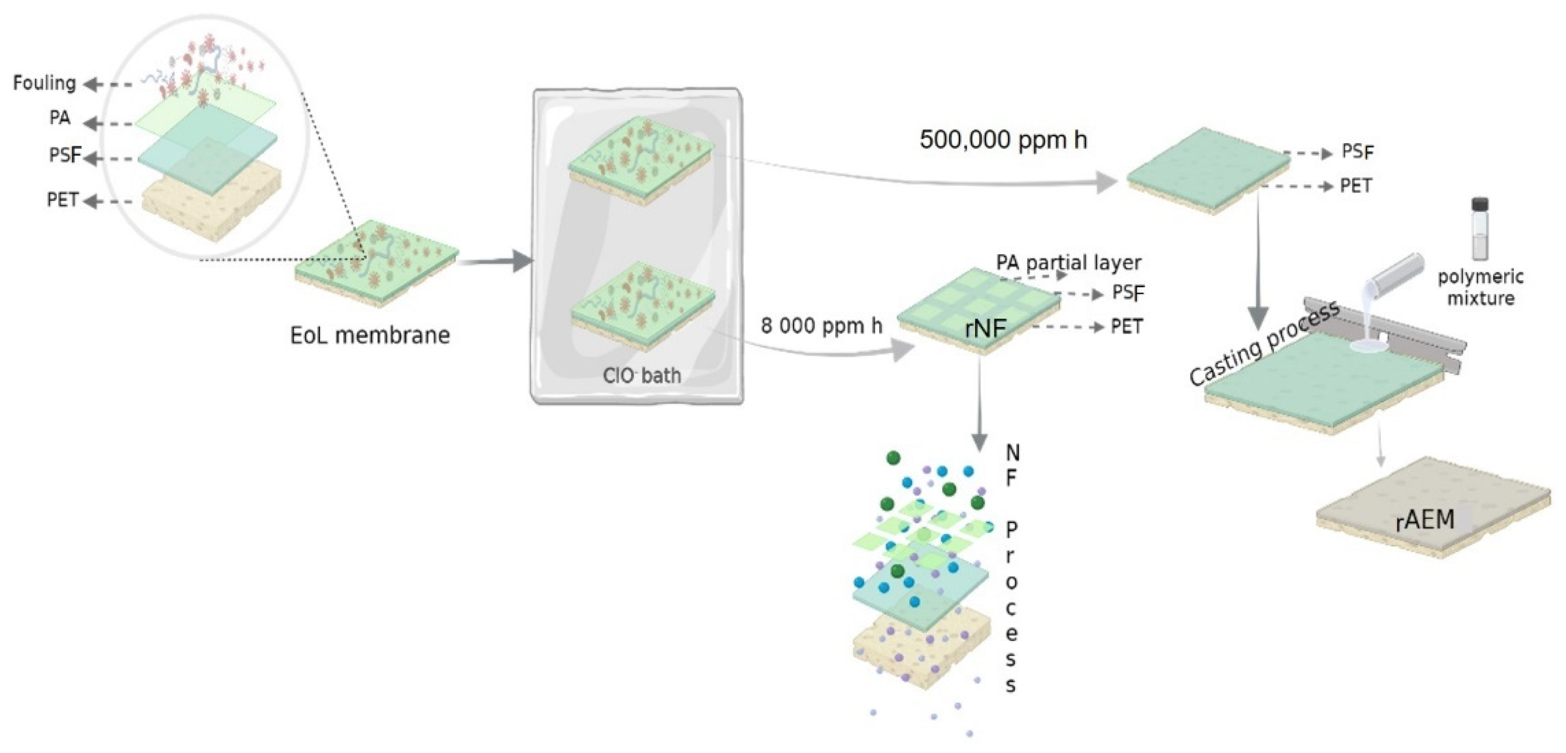 Membranes 12 00746 g001 550